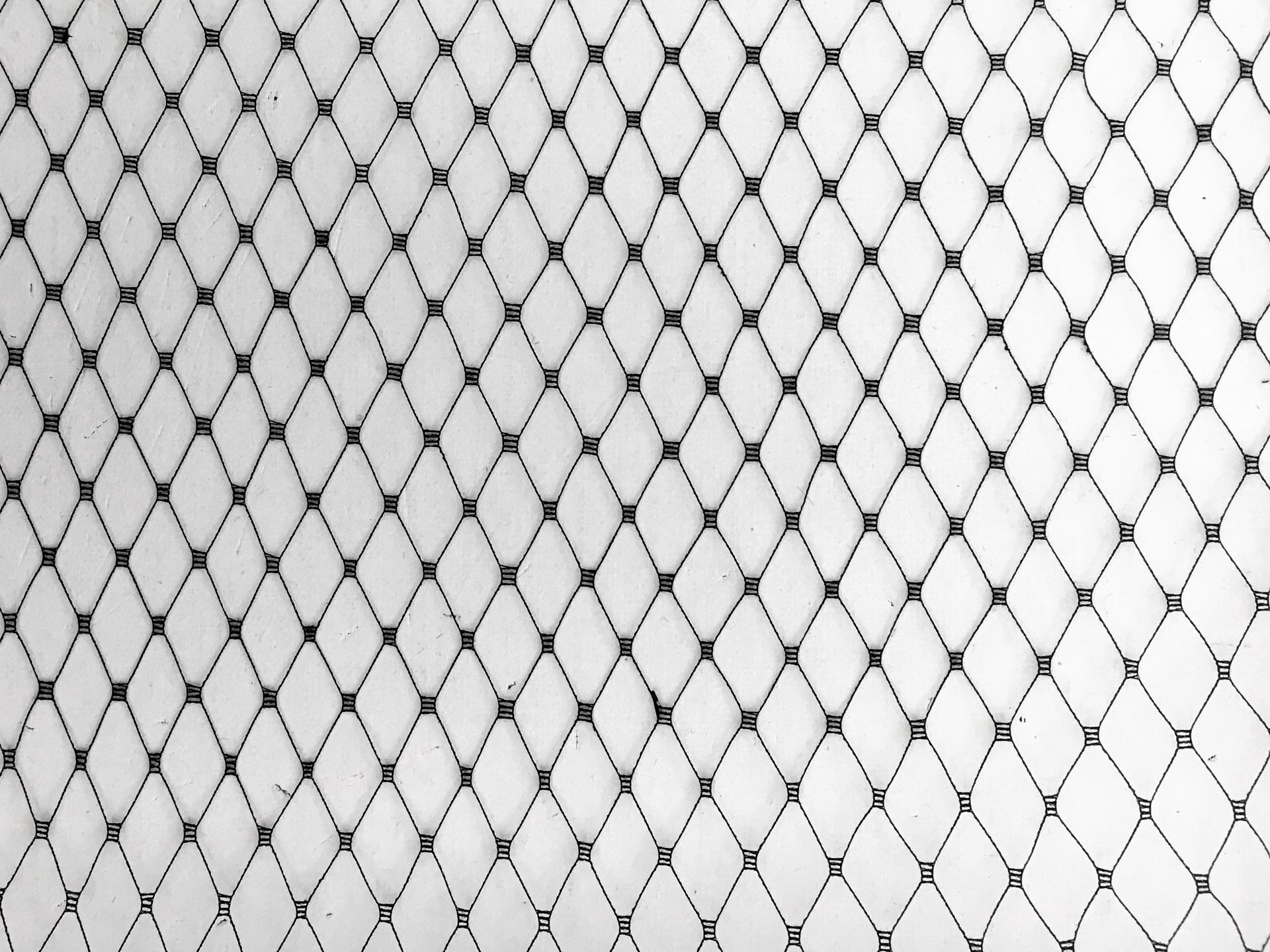 Birdcage Net in Black3