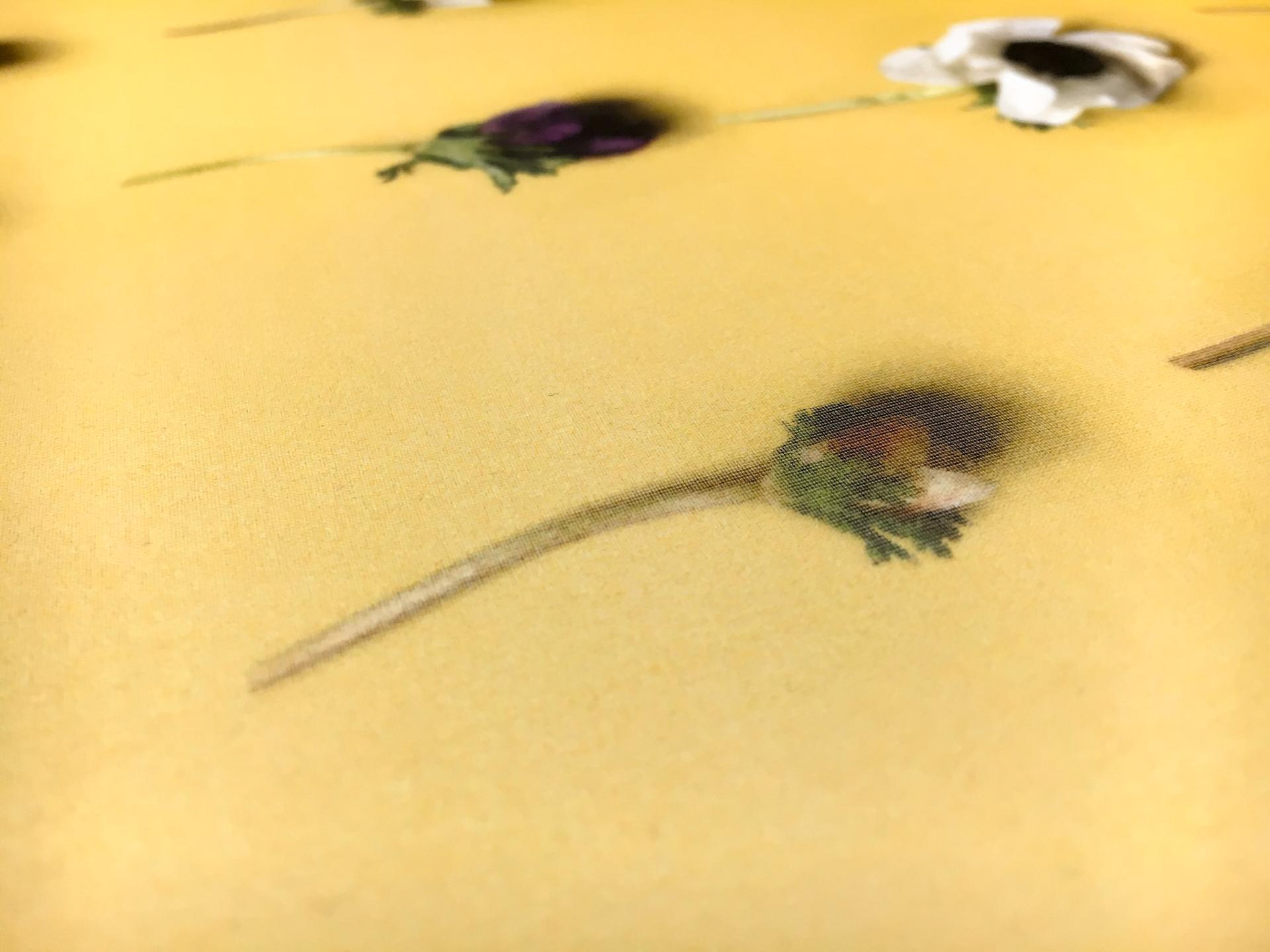 Printed Silk Organza with Rows of Anemone Flowers2