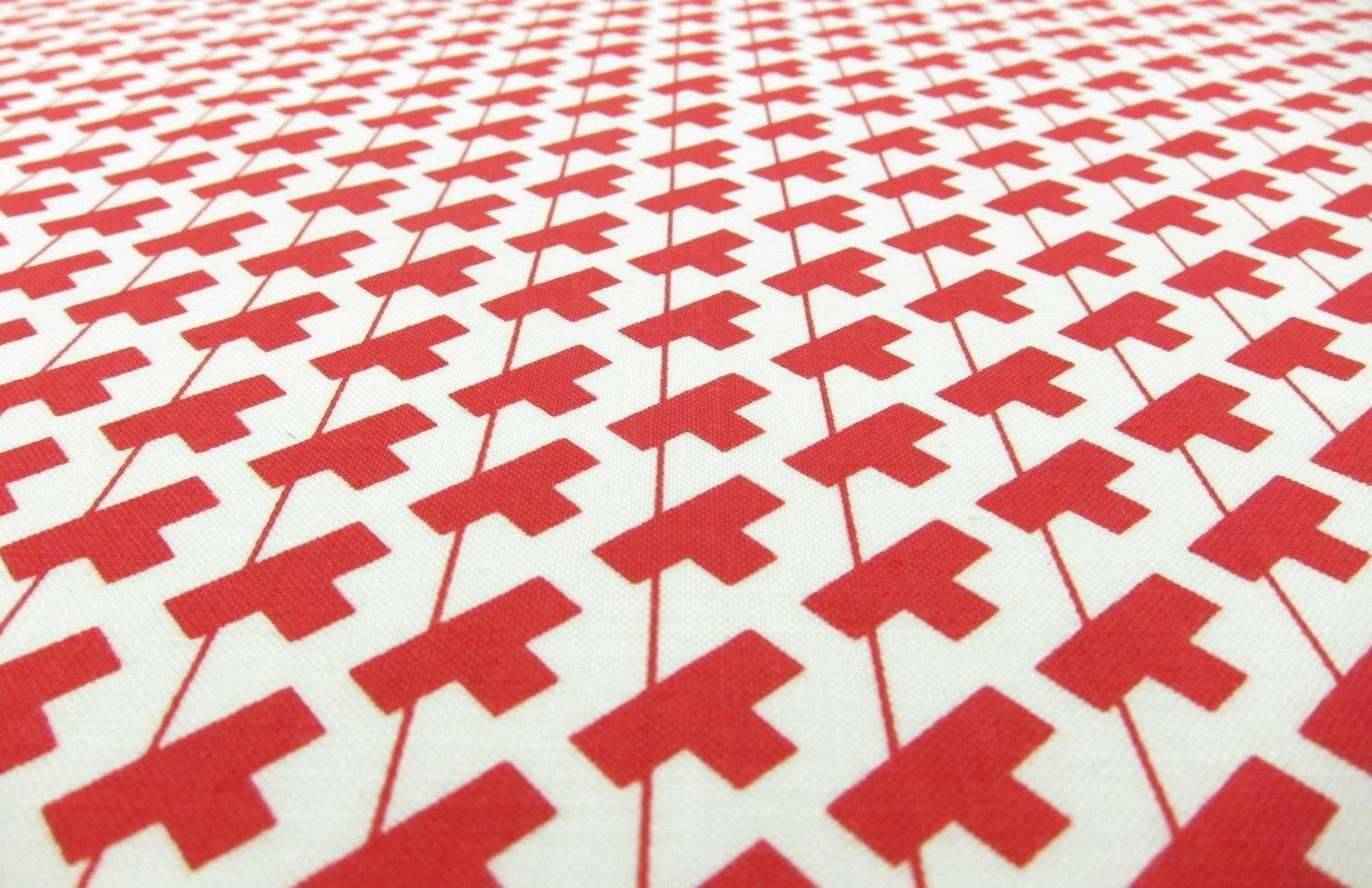 Cotton Broadcloth Print2