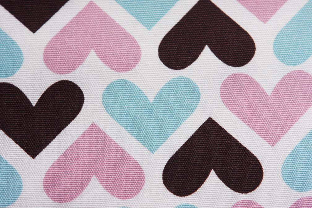 Printed Cotton Canvas2