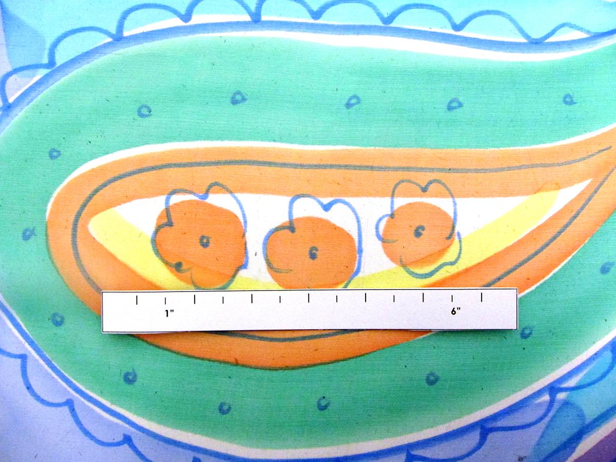 Printed Silk Chiffon2