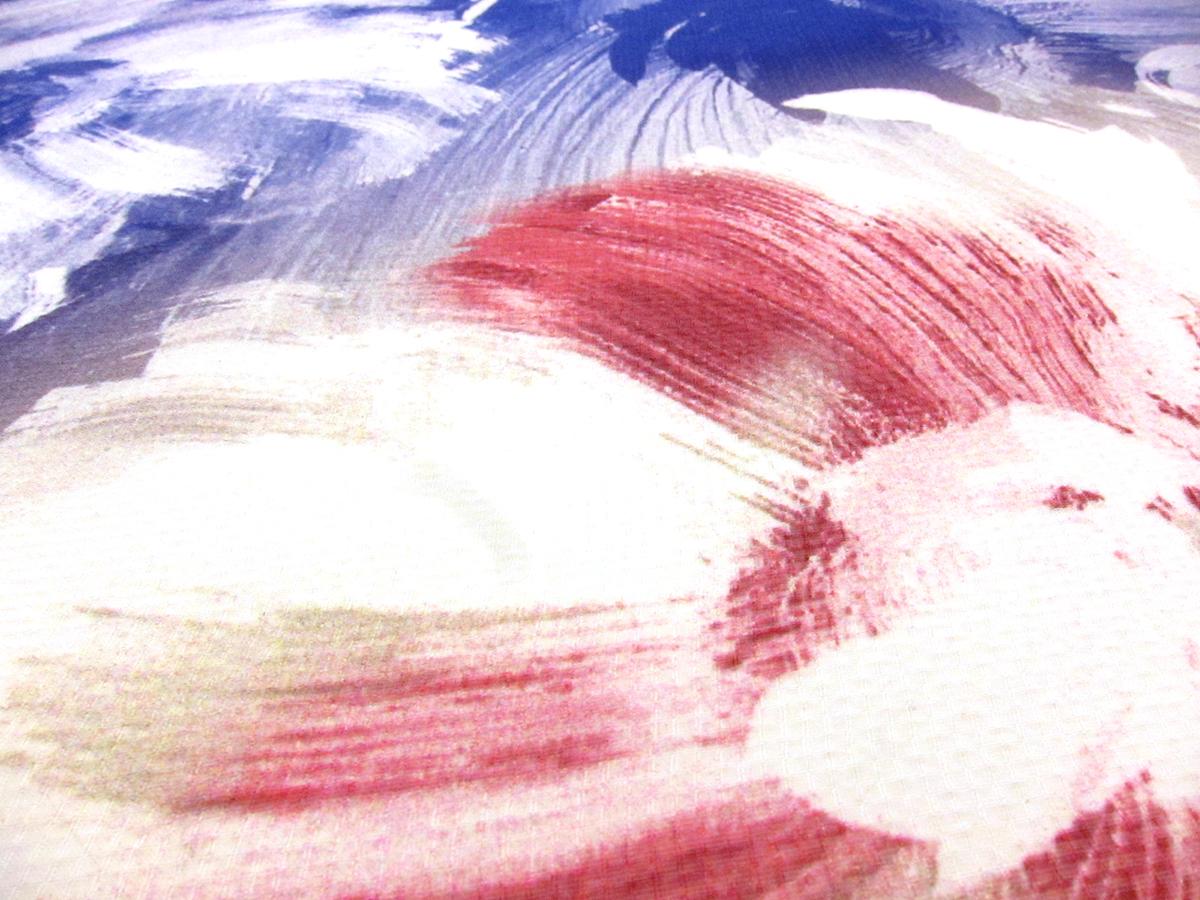 Printed Silk Chiffon1