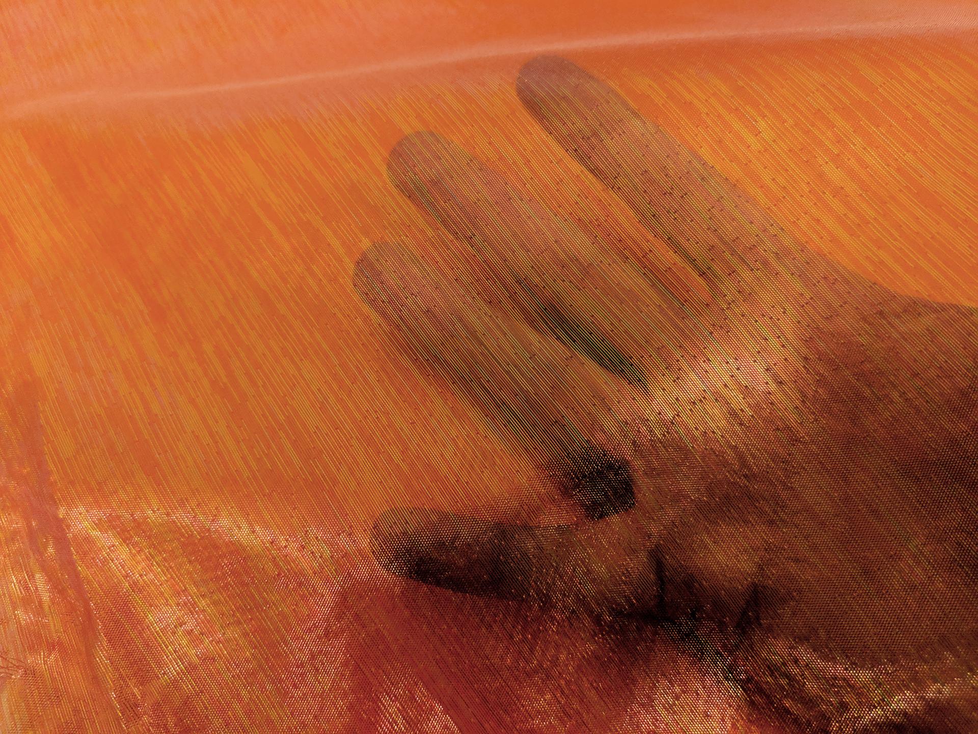 Sheer Opalescent Organza in Orange