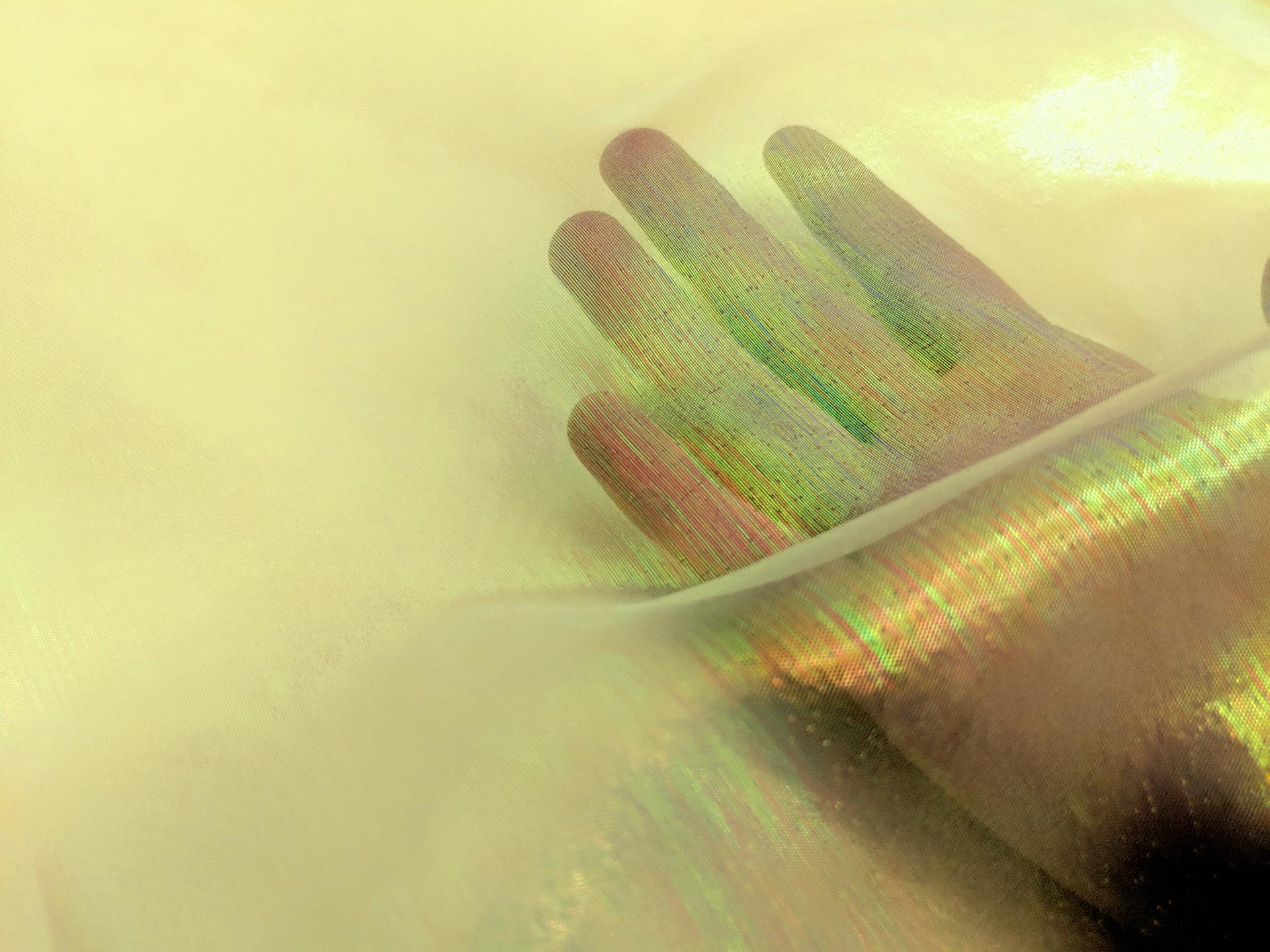 Sheer Opalescent Organza in Maize