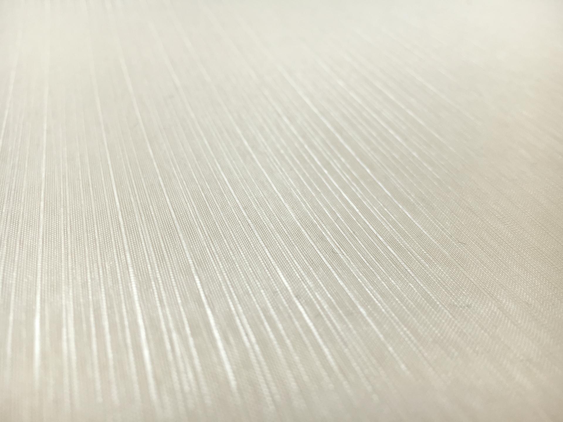 Crystal Stripe Polyester Organza in Ivory