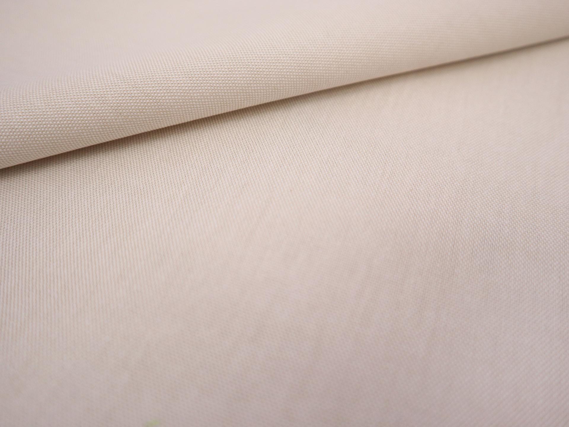 Pima Cotton Oxford in Champagne