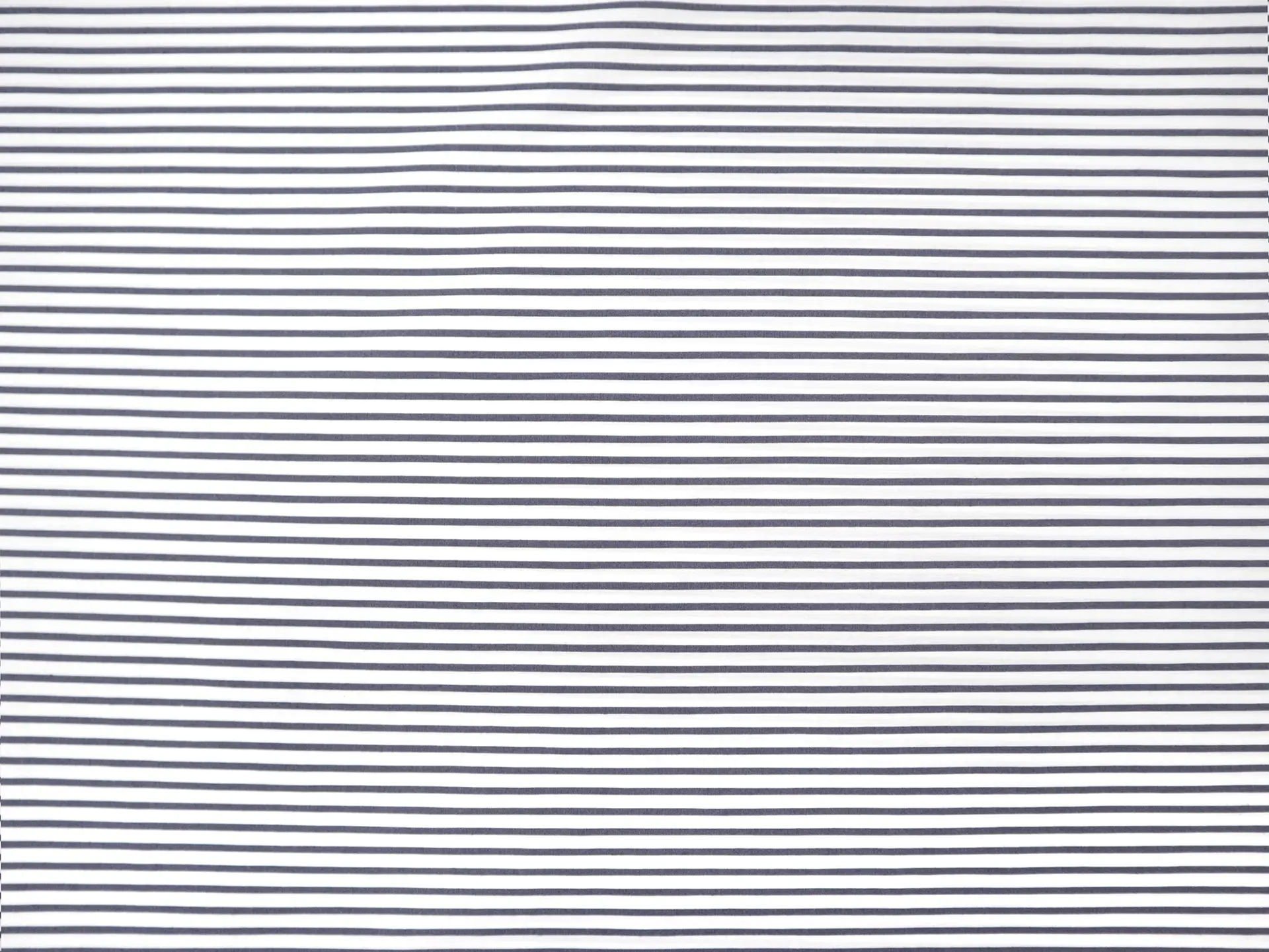 DNP Stretch Cotton Stripe
