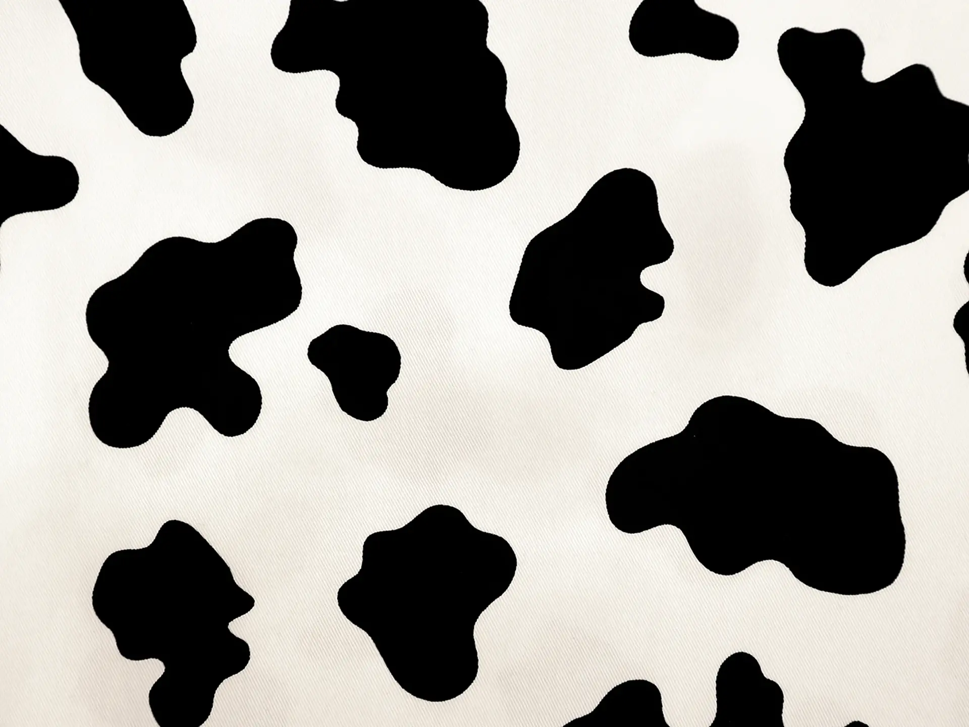 Cotton Twill Cow Print in White & Black