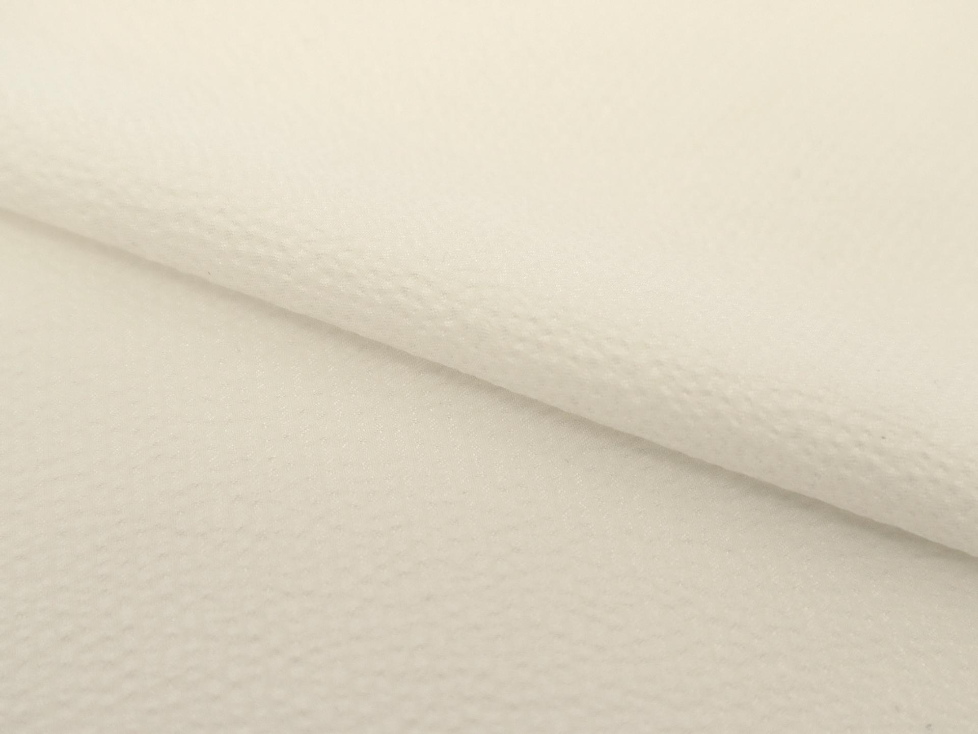 Hammered Silk Charmeuse in Off White