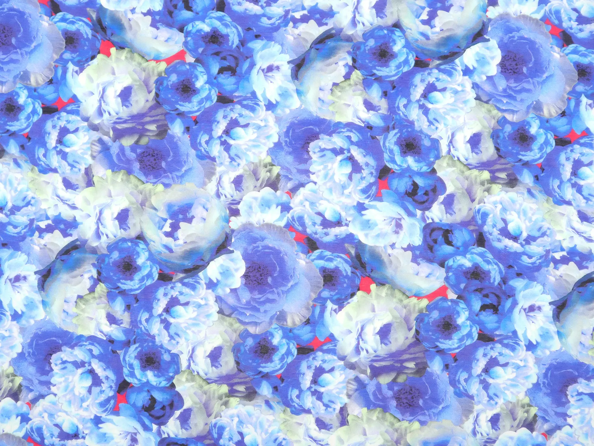 Cotton & Silk Voile with Floral Print in Blues