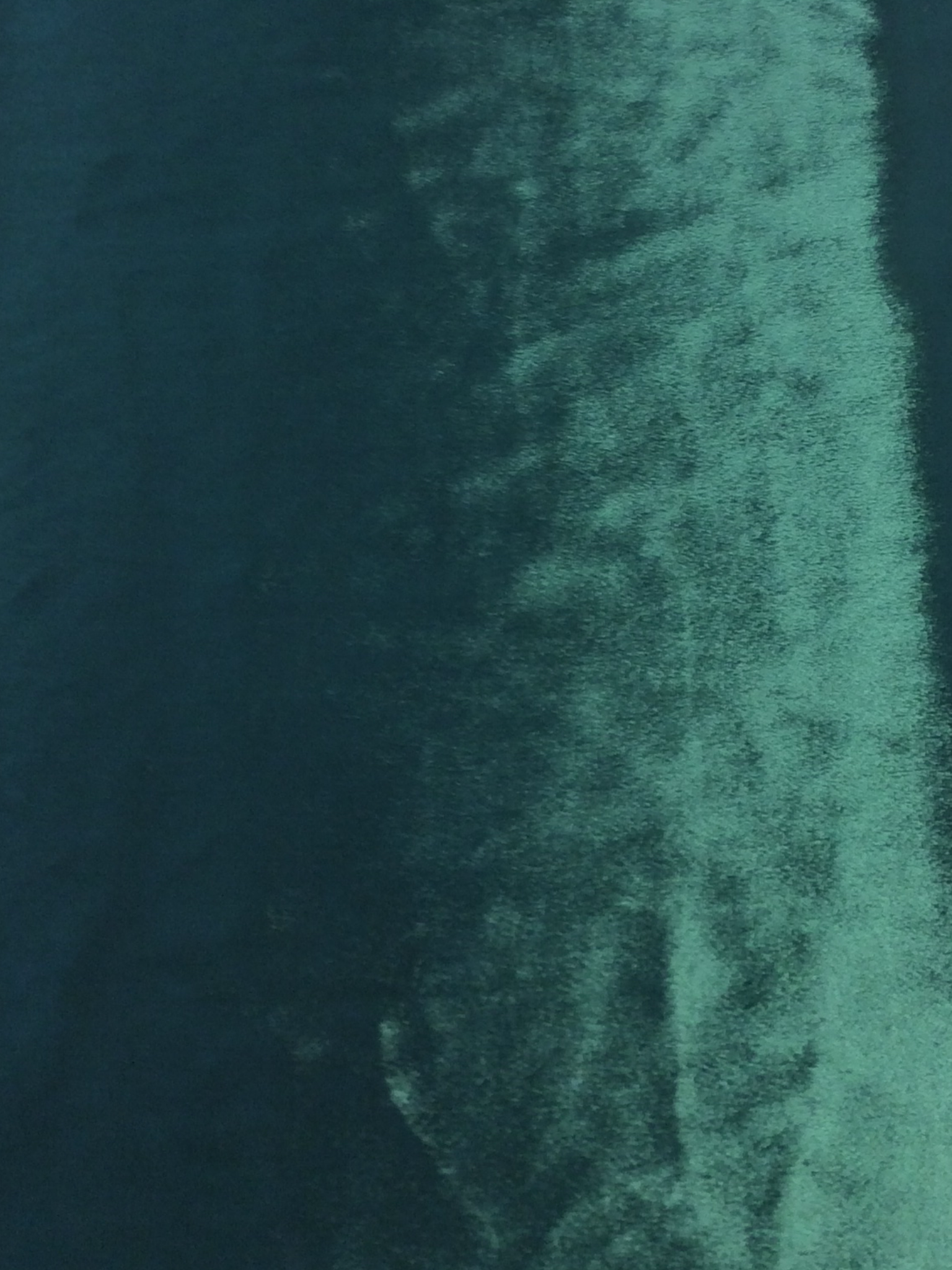 Silk and Rayon Panne' Velvet in Hunter Green