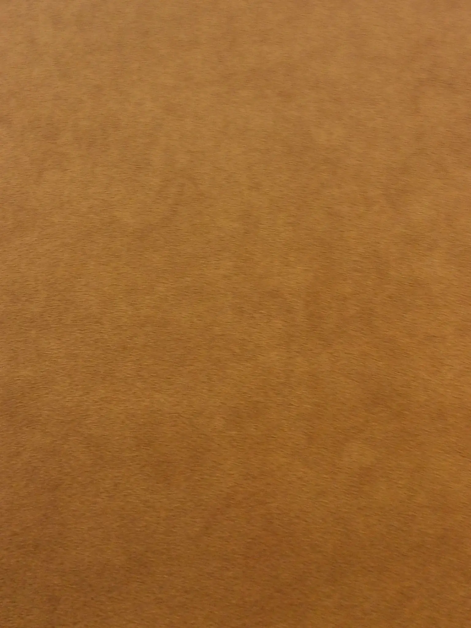 NEW Ultrasuede Soft in Aztec Leather