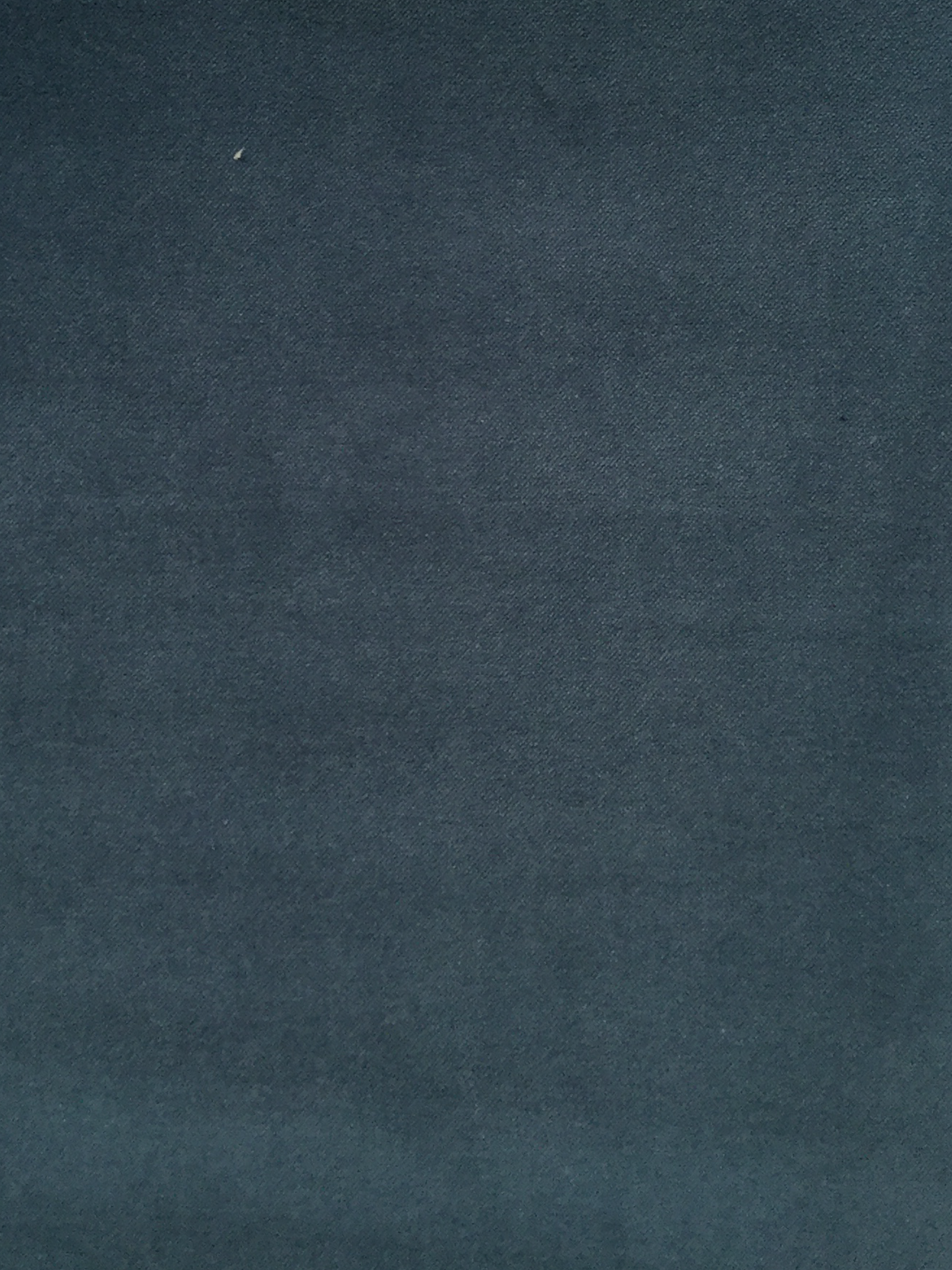 Pure Cotton Velvet in Wedgewood