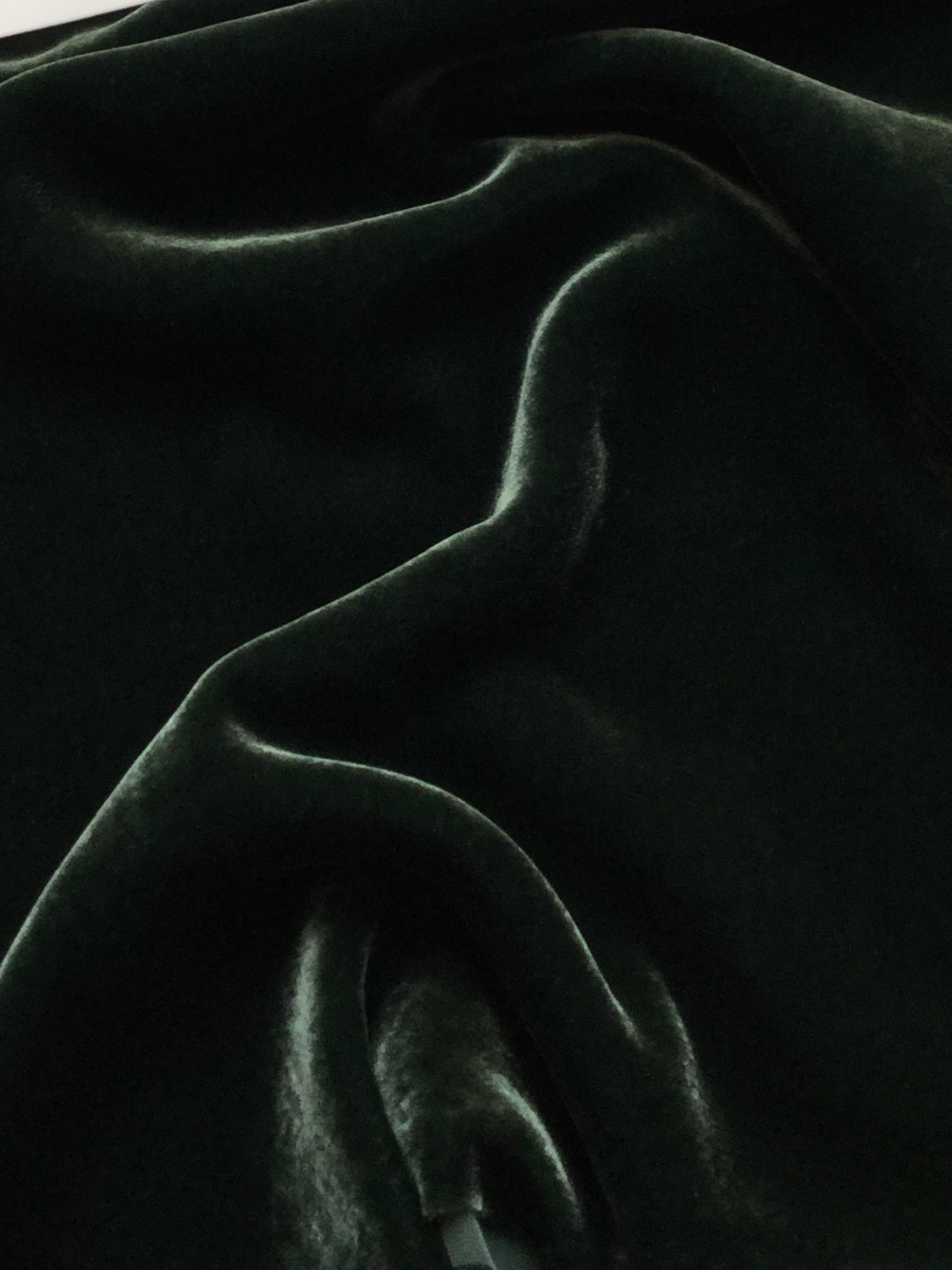 Silk Rayon Velvet in Duck Green
