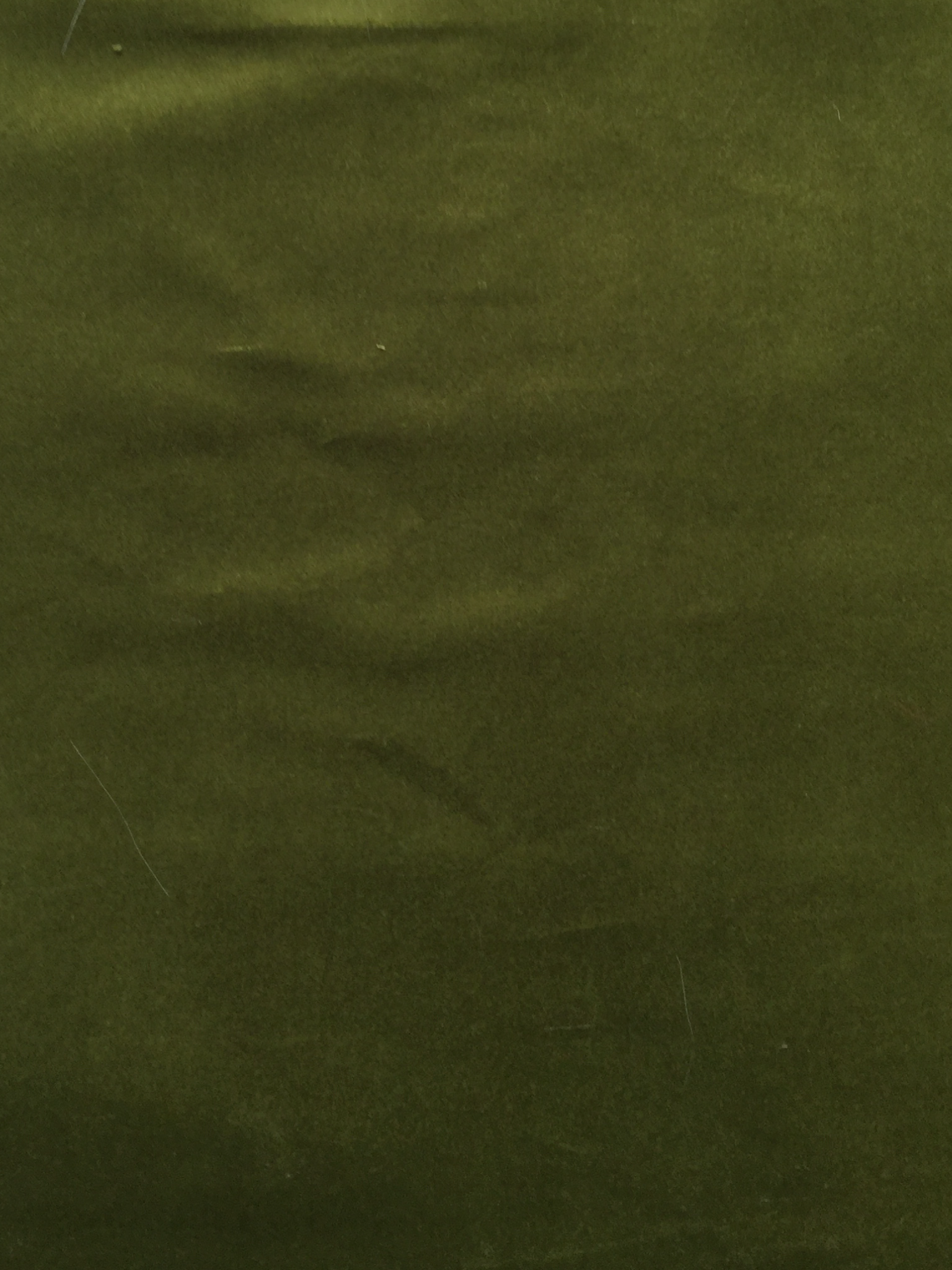 Pure Cotton Velvet in Veldt