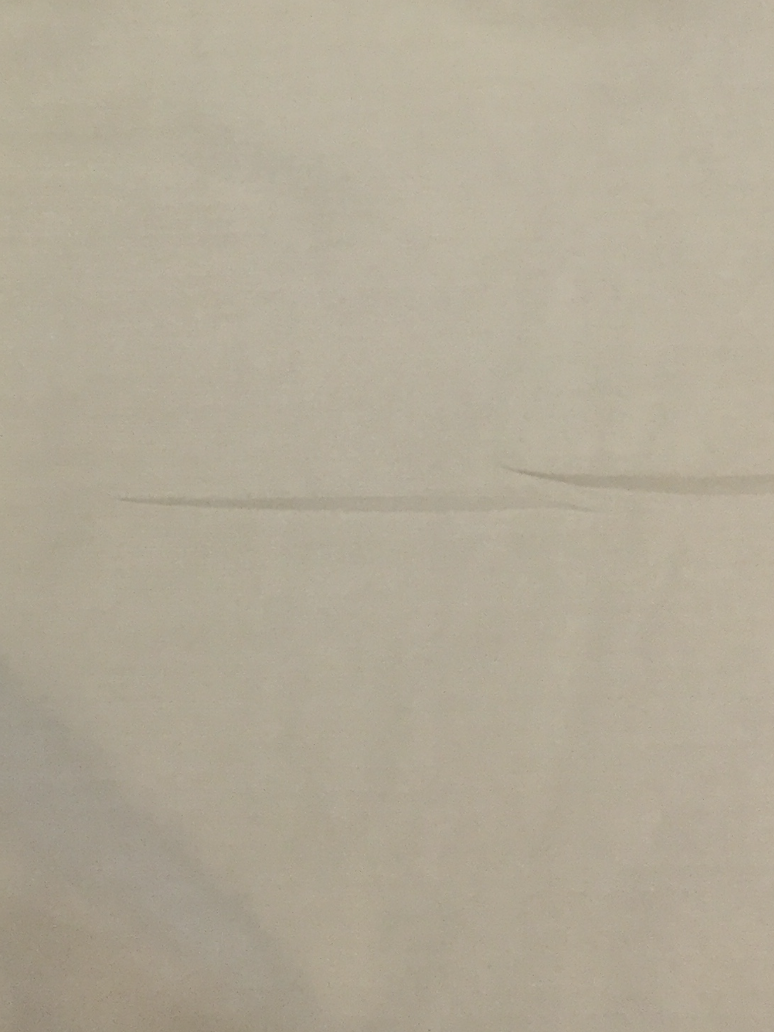 Polyester "Fuji Silk" Lining in Tan