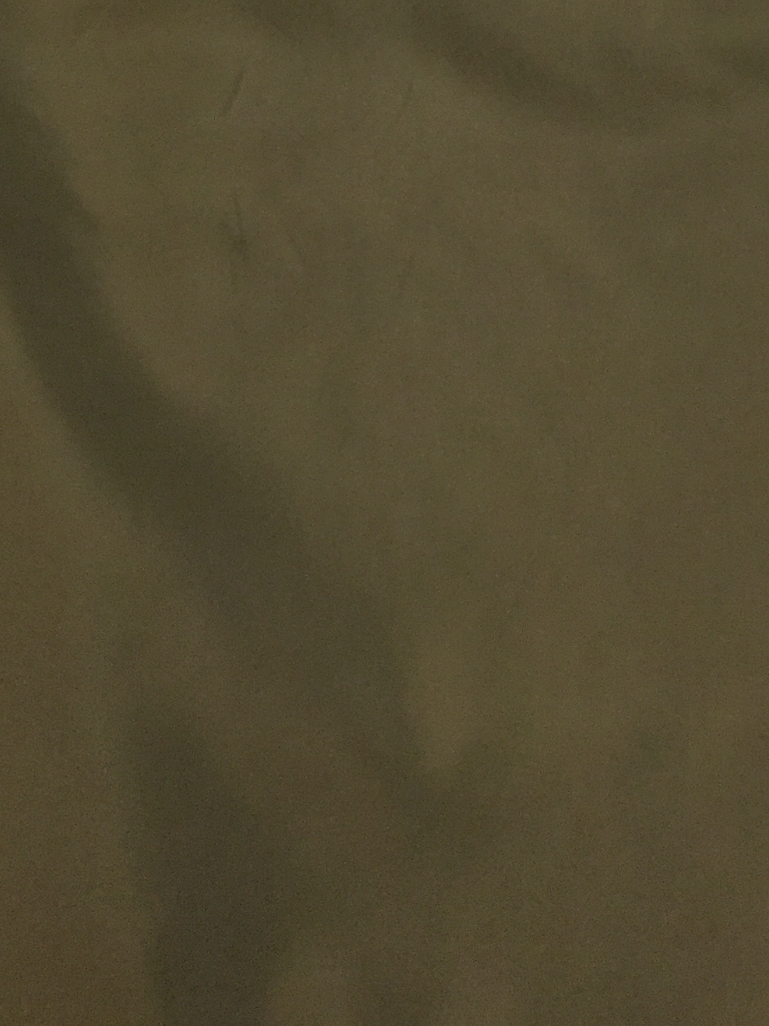 Polyester "Fuji Silk" Lining in Olive