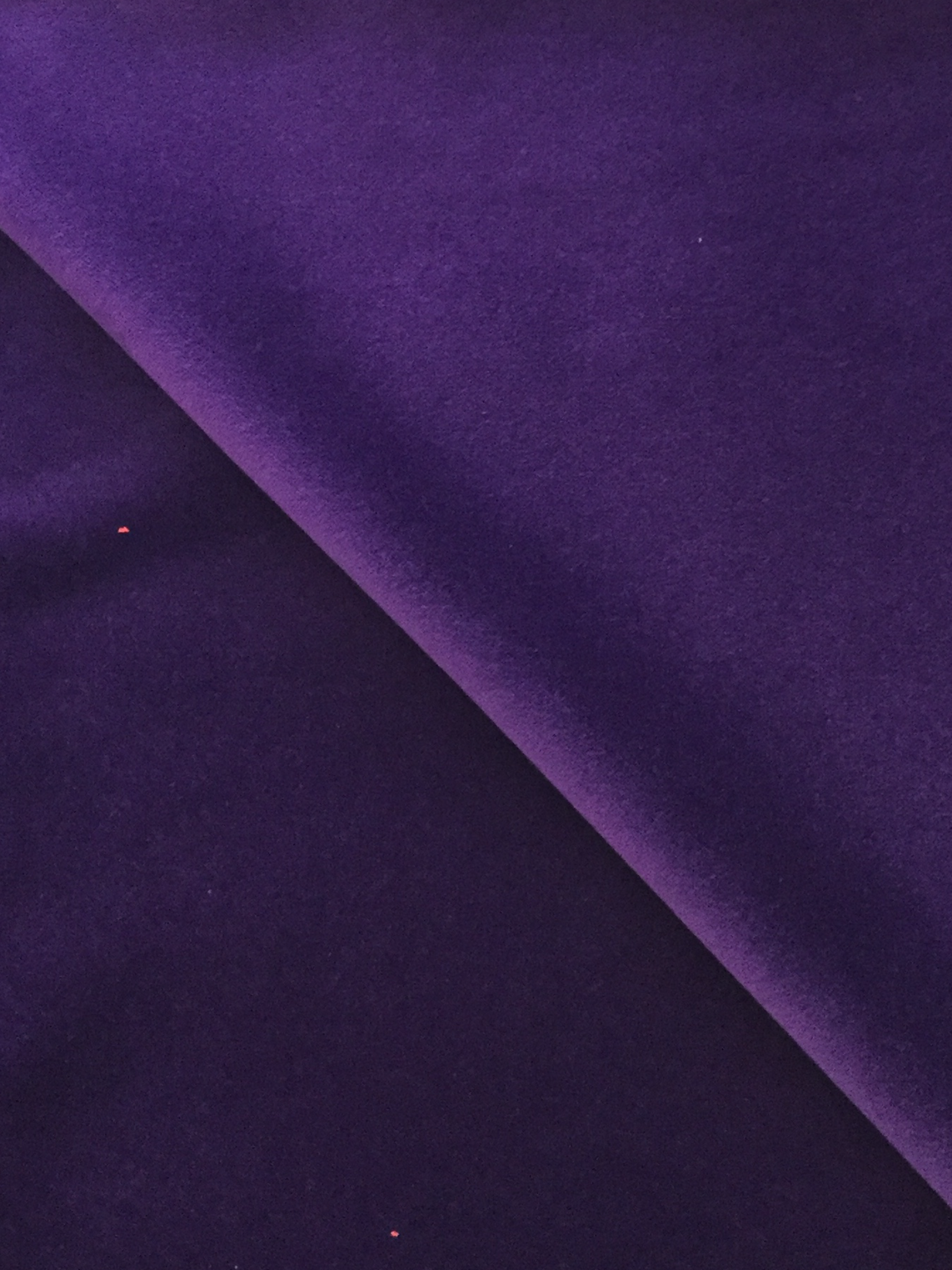 Pure Cotton Velvet in Clematis