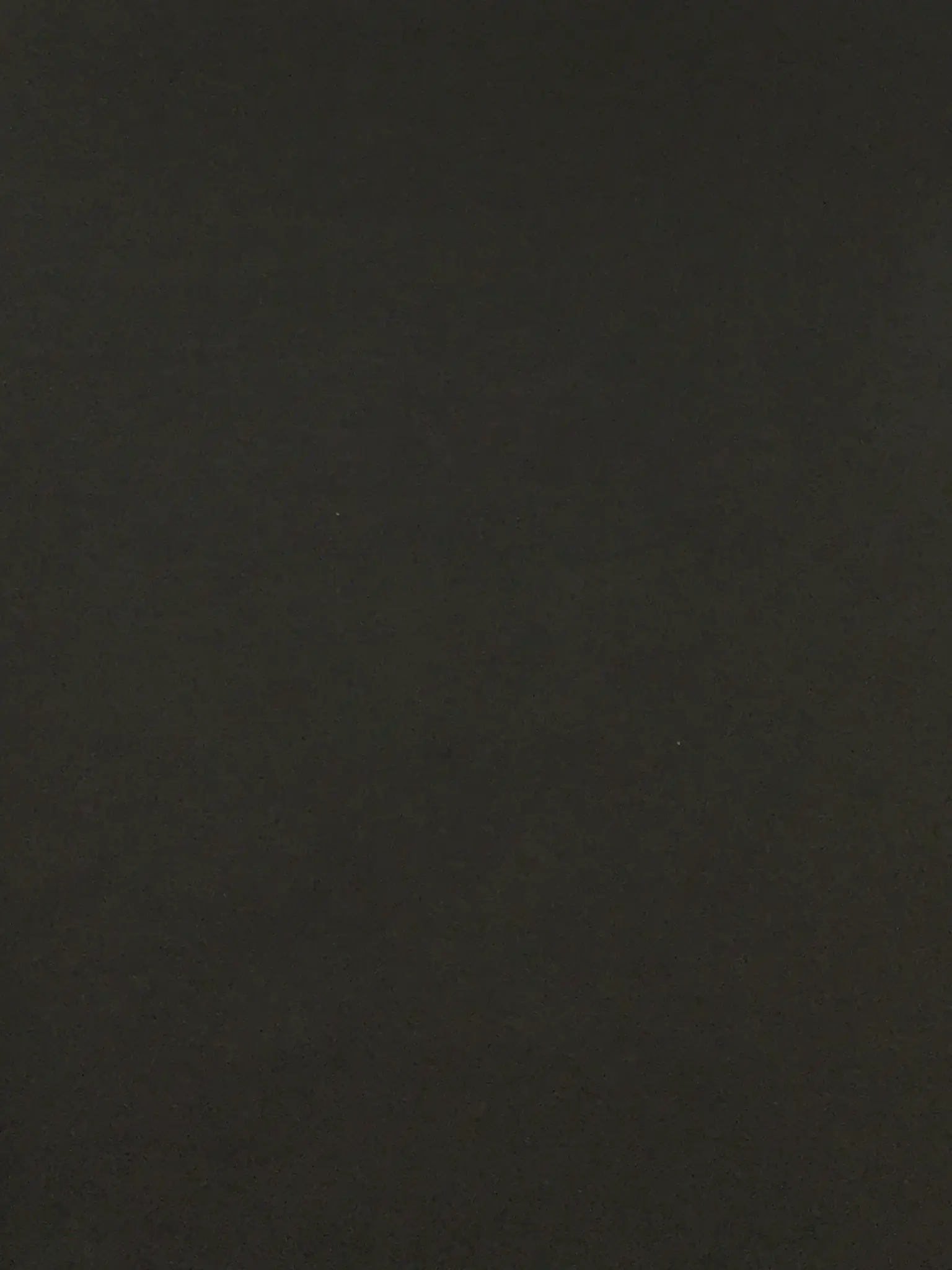 Polyester Lame' in Black