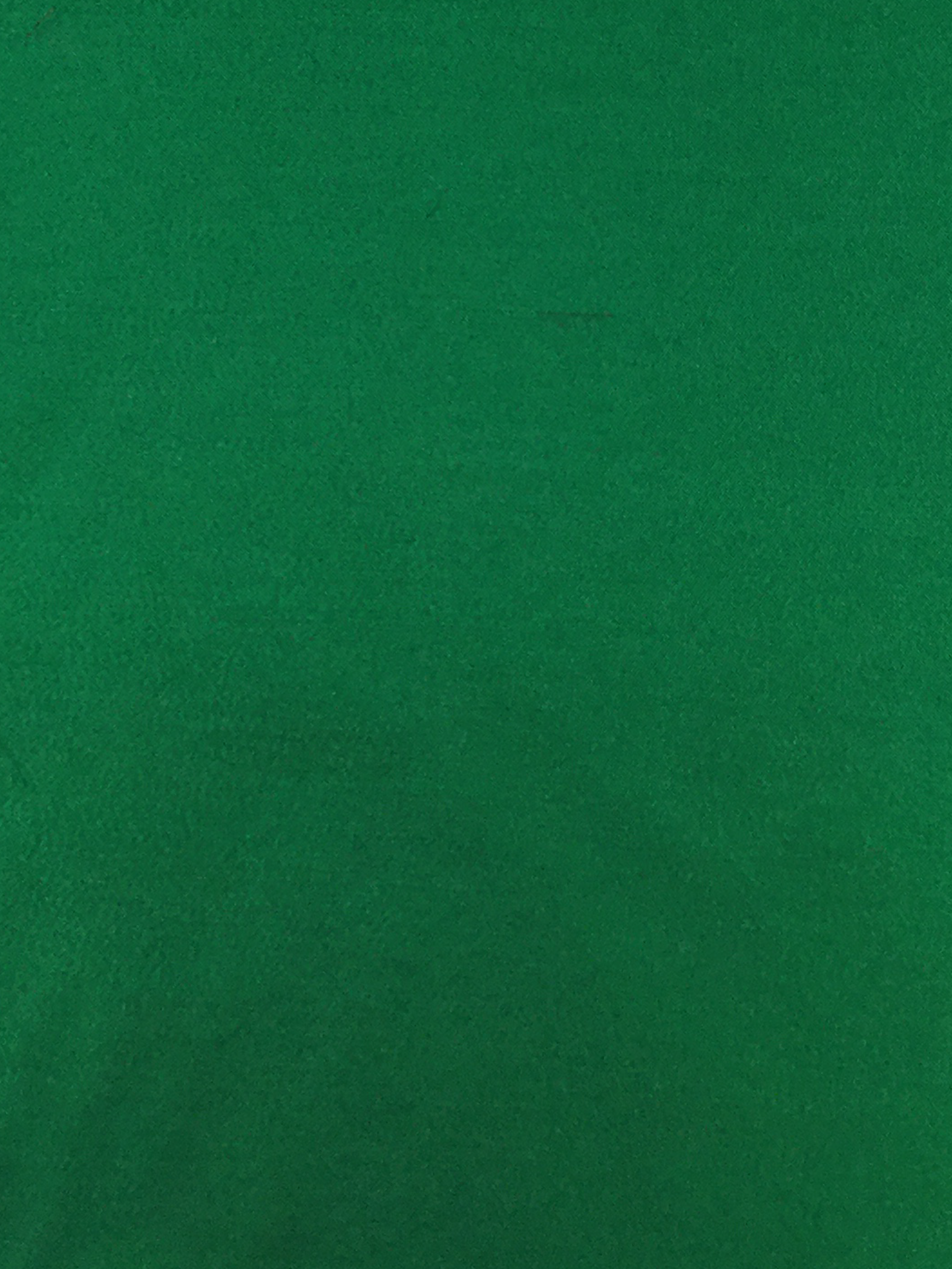 Polyester Lame' in Emerald