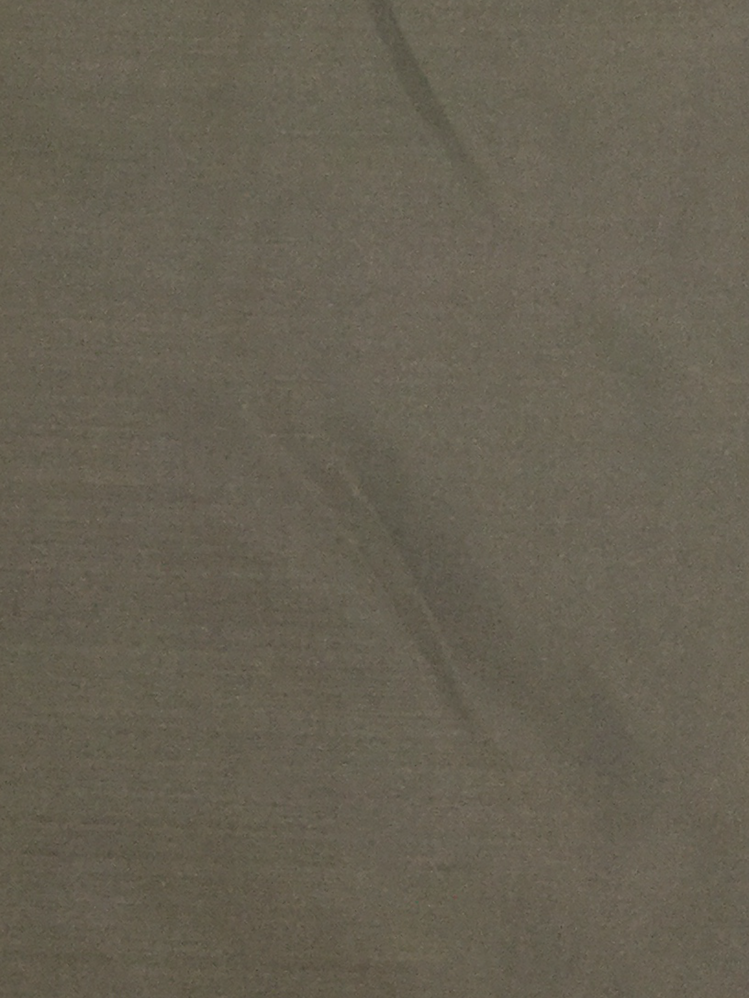 Polyester "Fuji Silk" Lining in Taupe