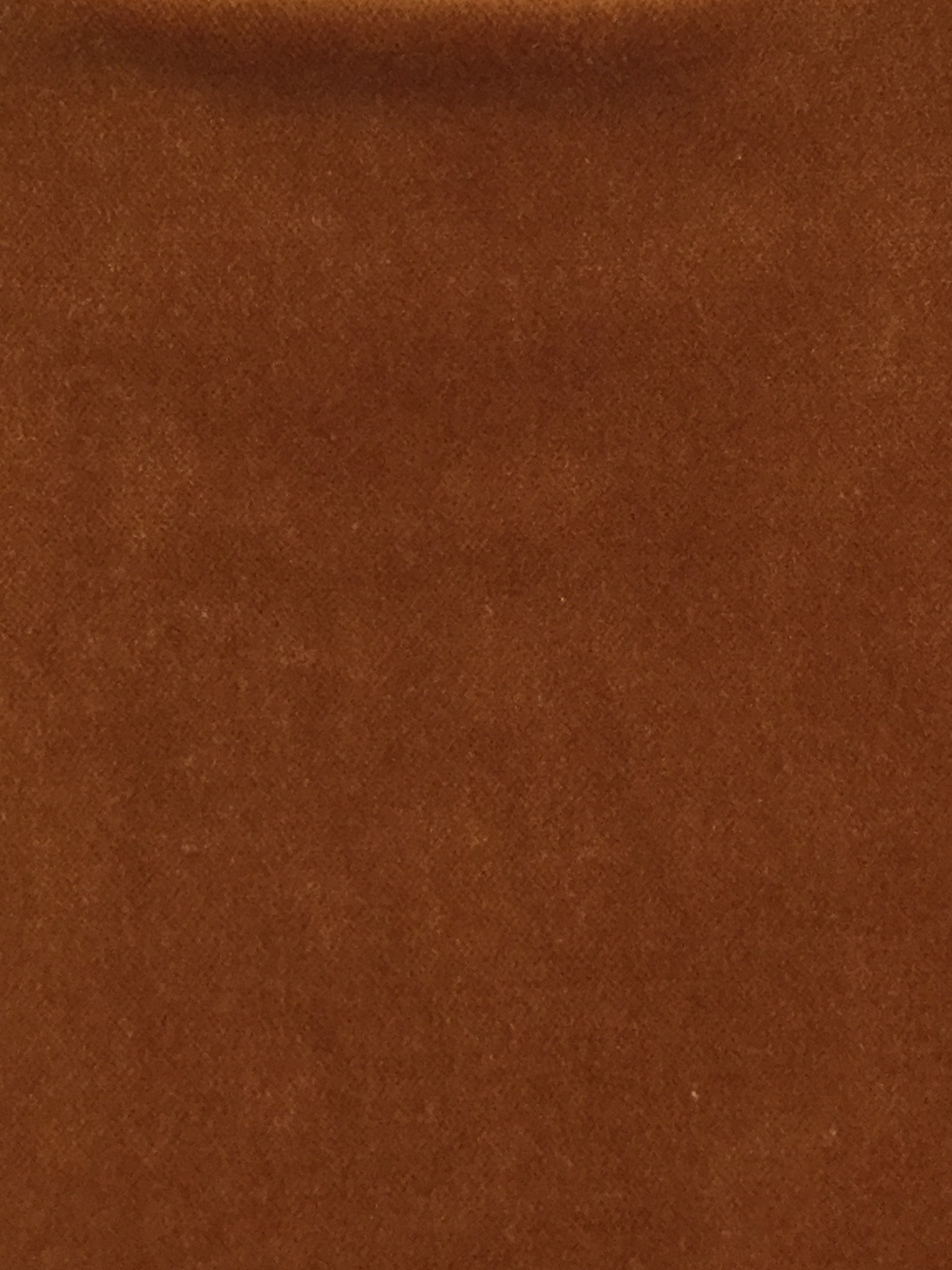Pure Cotton Velvet in Cognac
