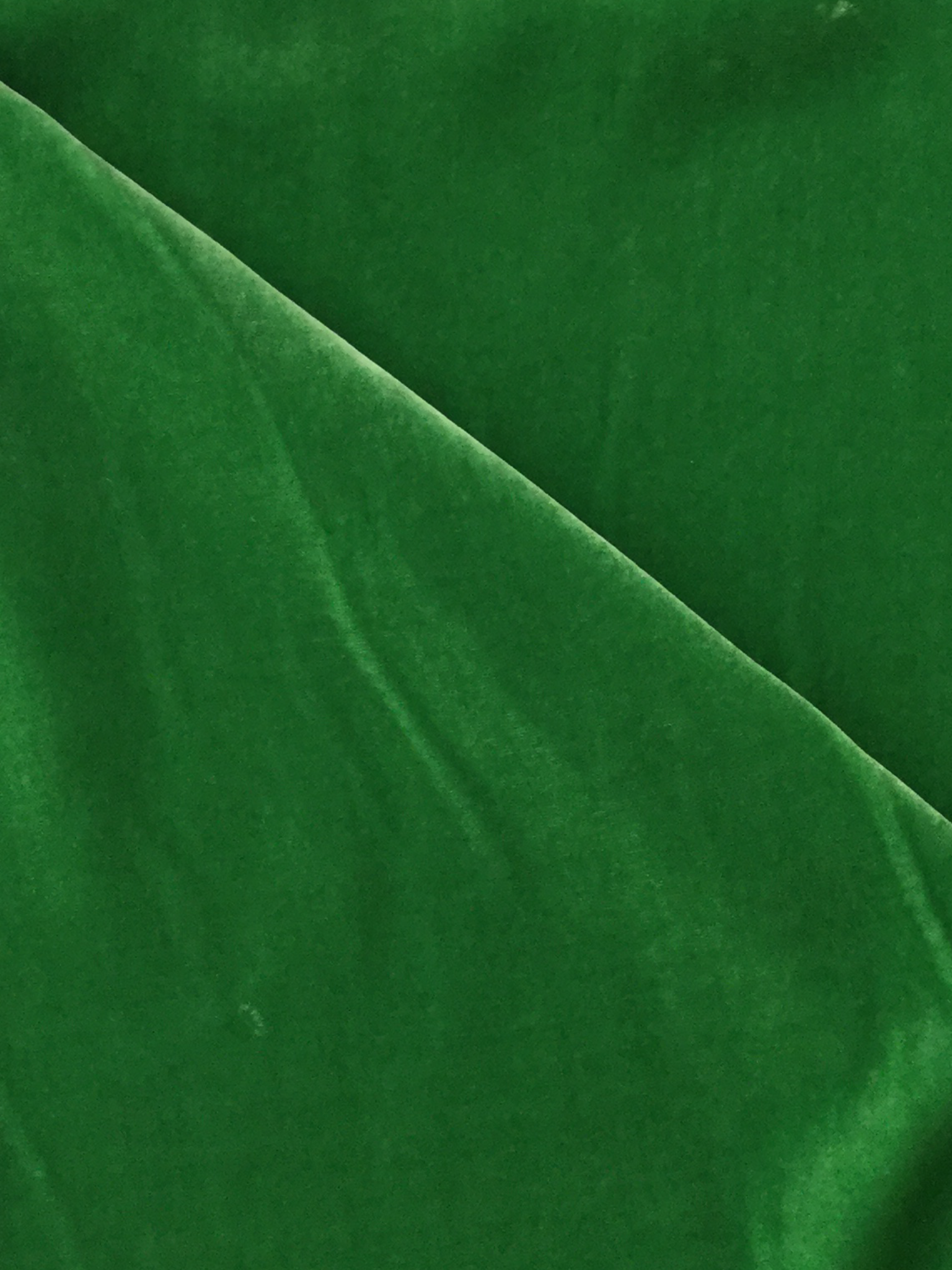  Silk and Rayon Velvet in Kelly