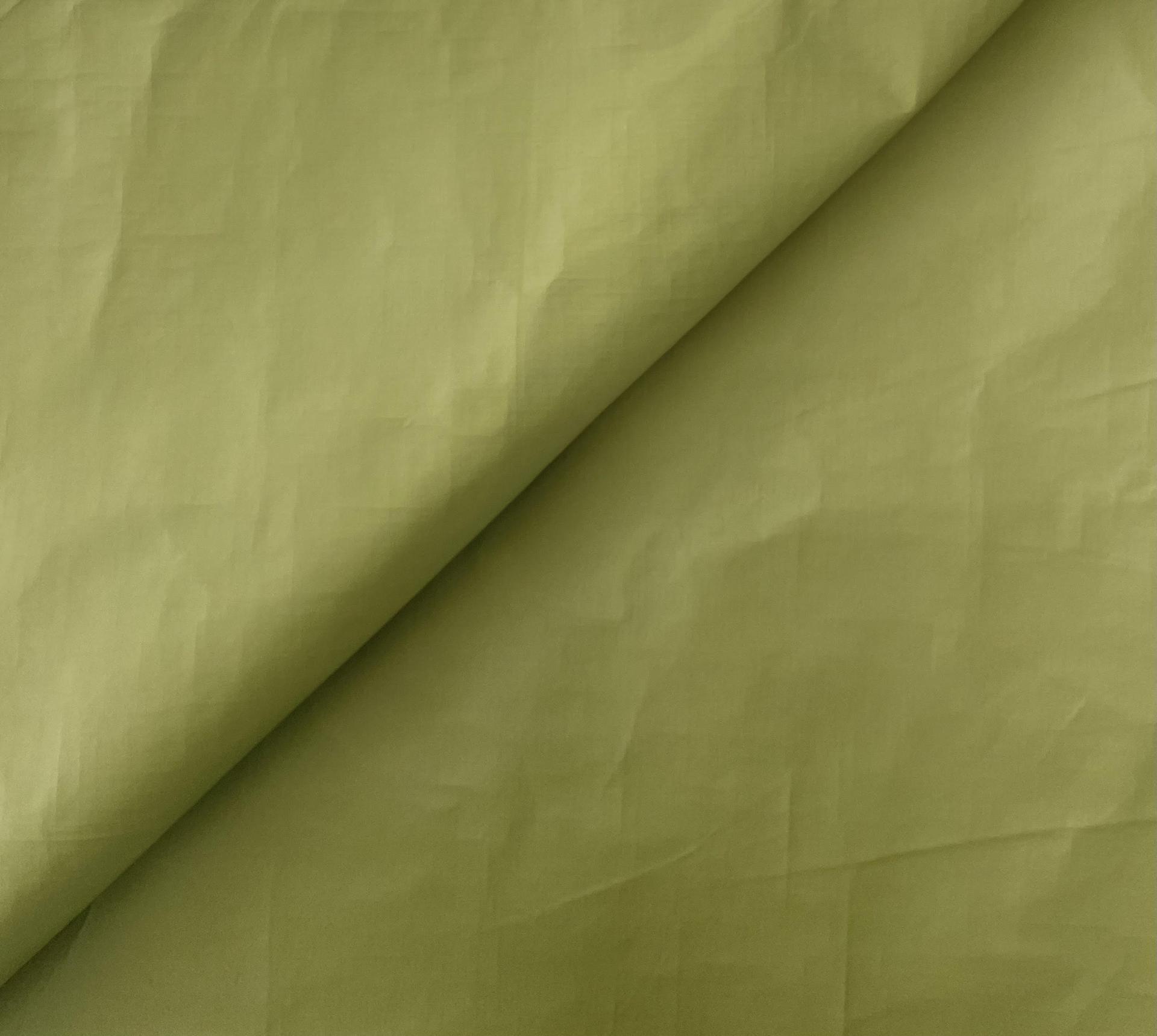 Tyvek in Pea Green
