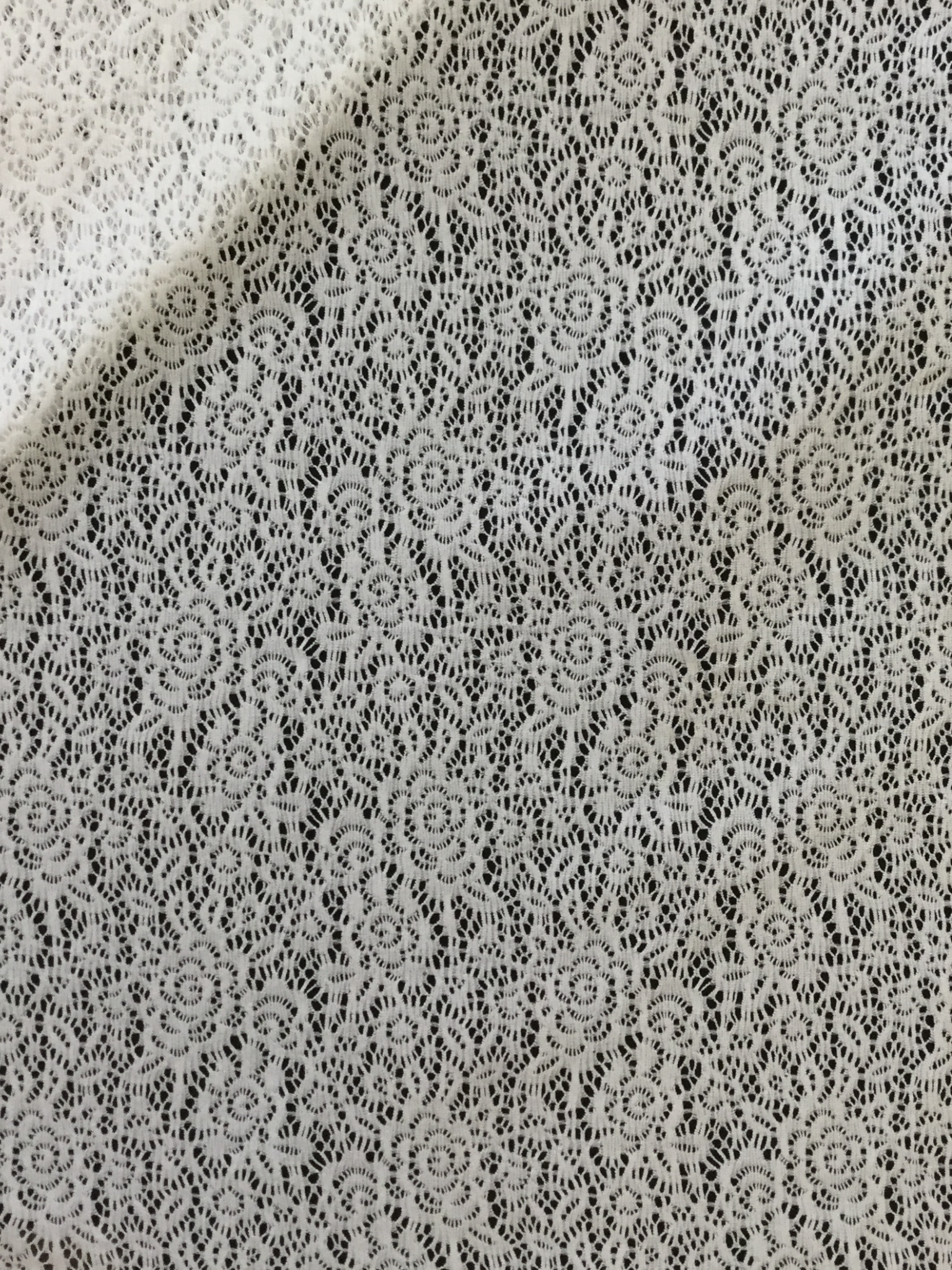 Novelty Stretch Lace in White