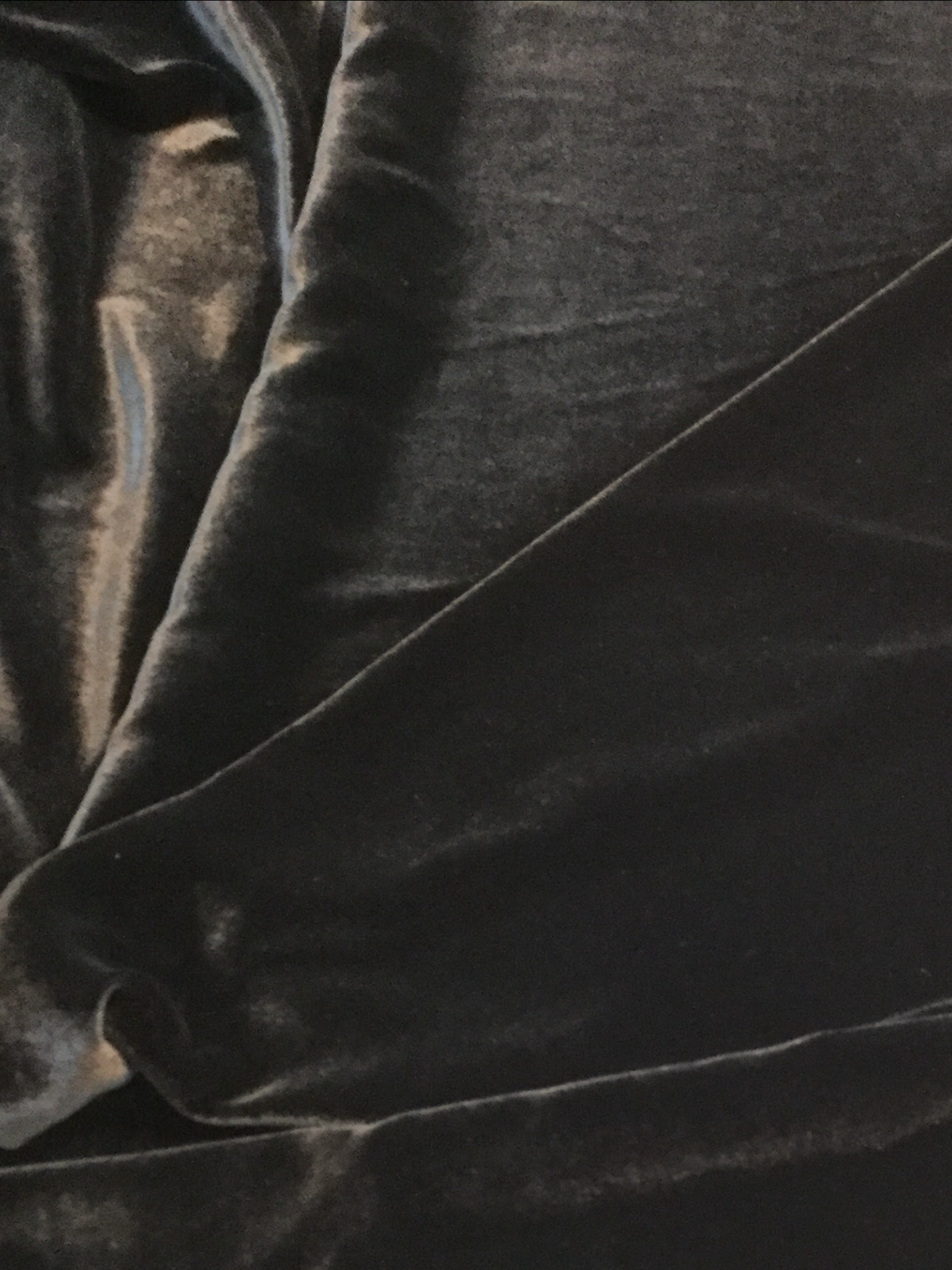 Silk Rayon Velvet in Black