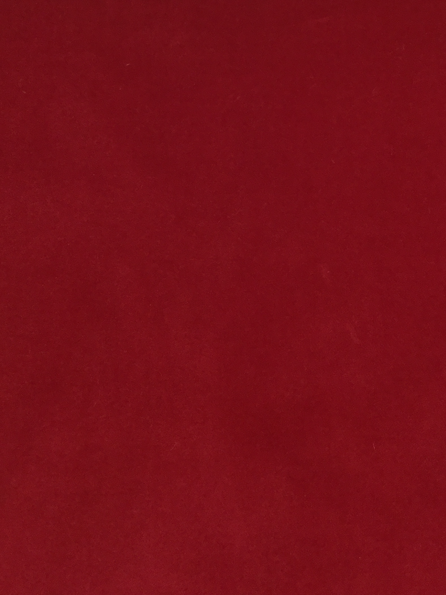 Pure Cotton Velvet in Devil Red