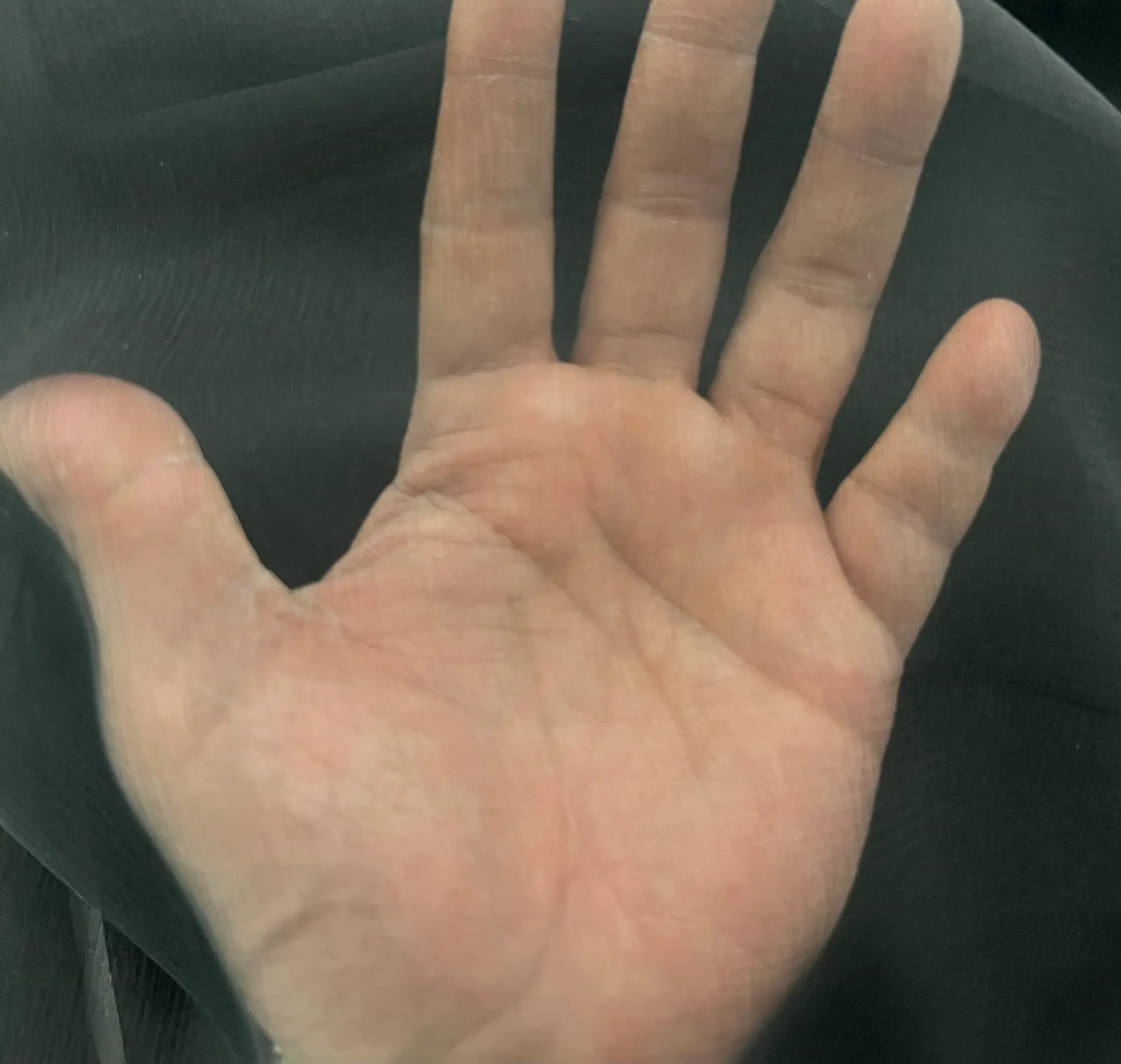 MADE IN FRANCE PURE SILK CHIFFON