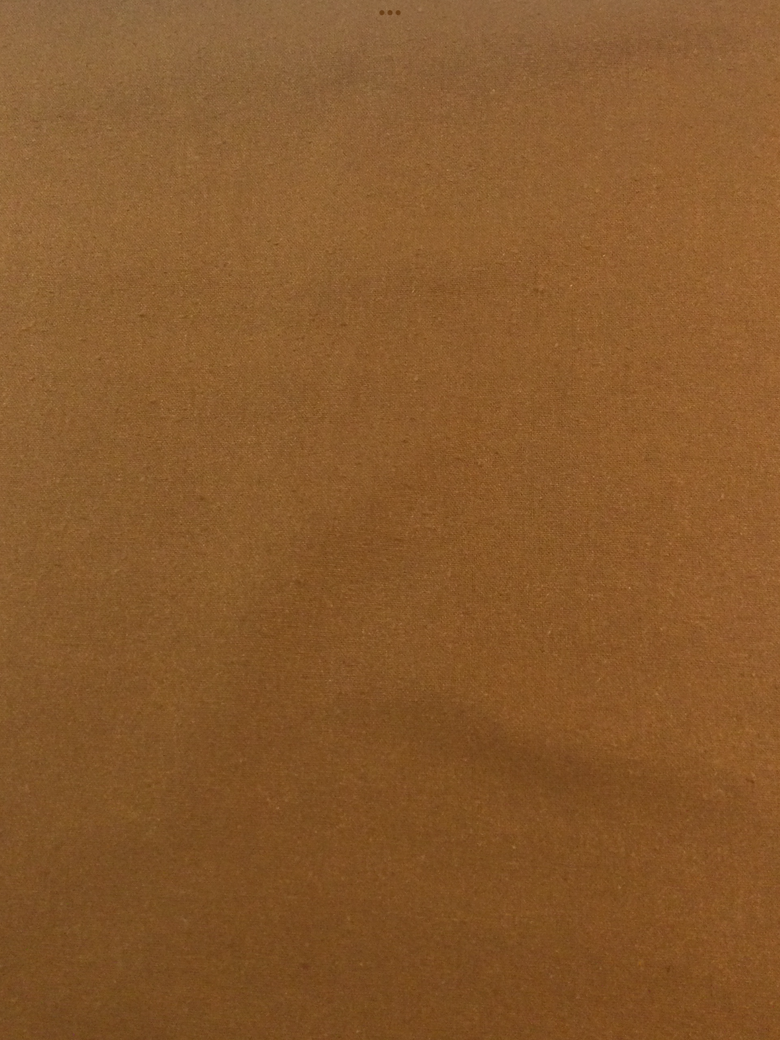 Silk Noil in Caramel