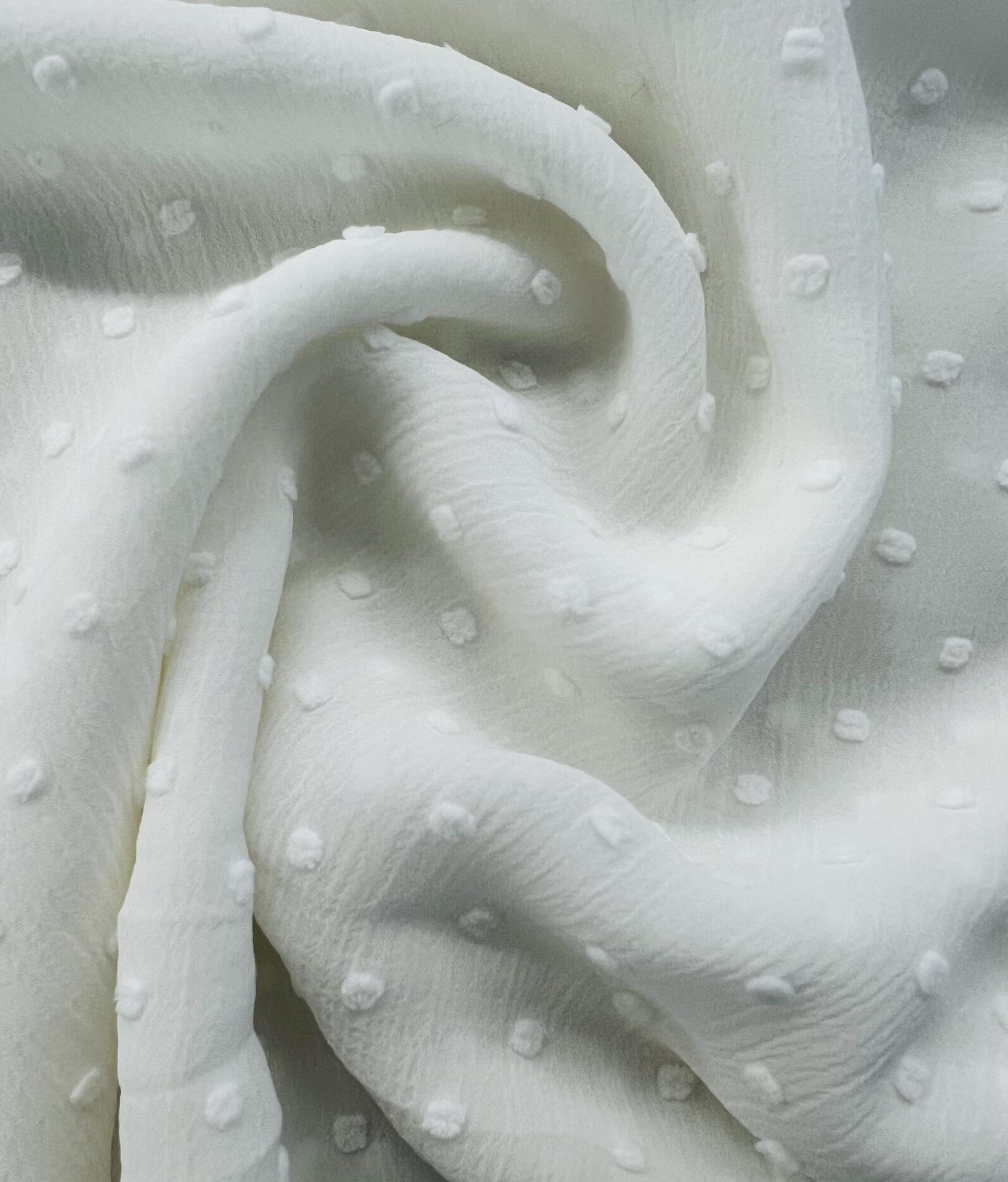 Clip Dotted Chiffon in White