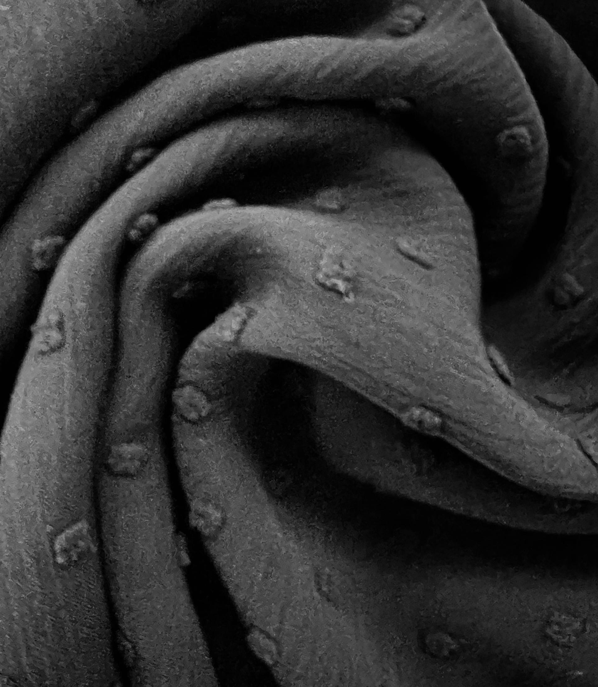 Clip Dotted Chiffon in Black