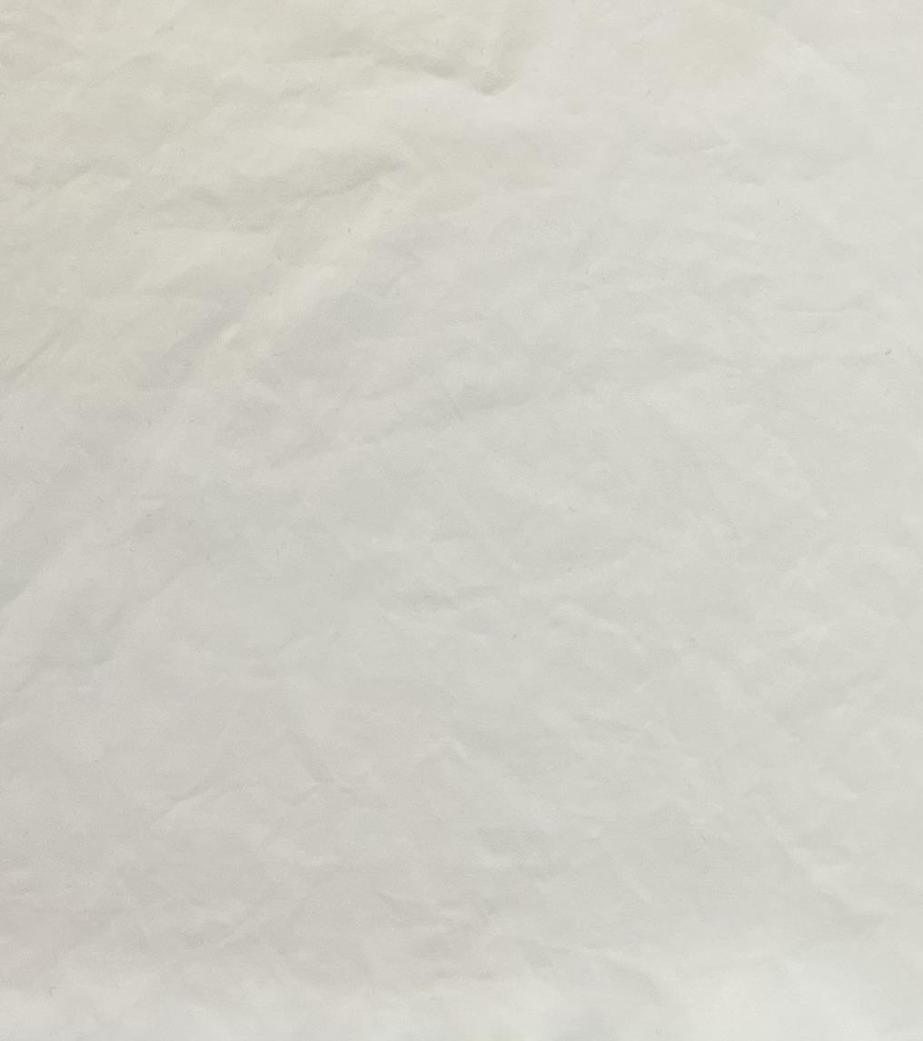 Viscose Stretch Charmeuse in Off White