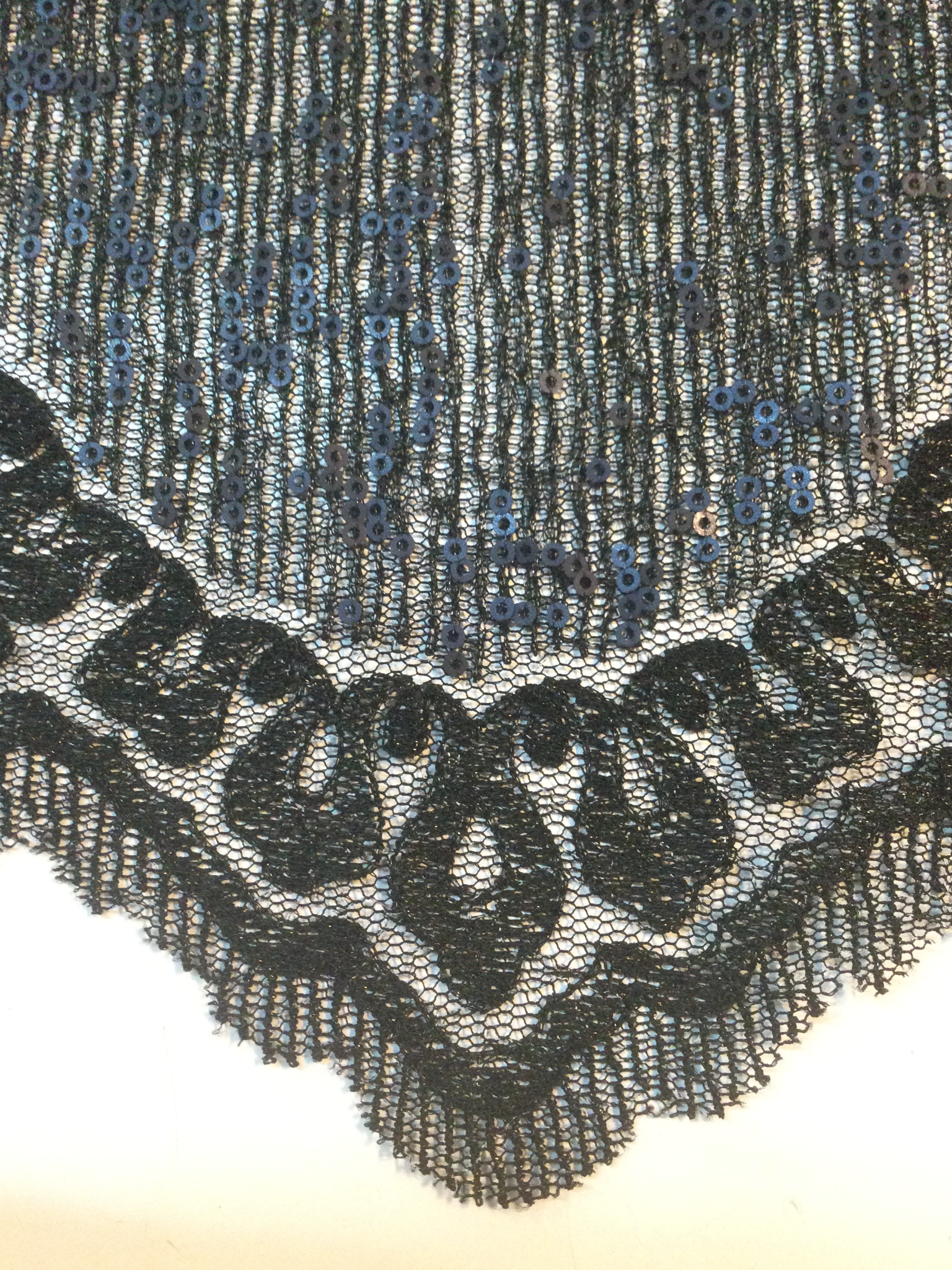 Sequins on Metallic Lace