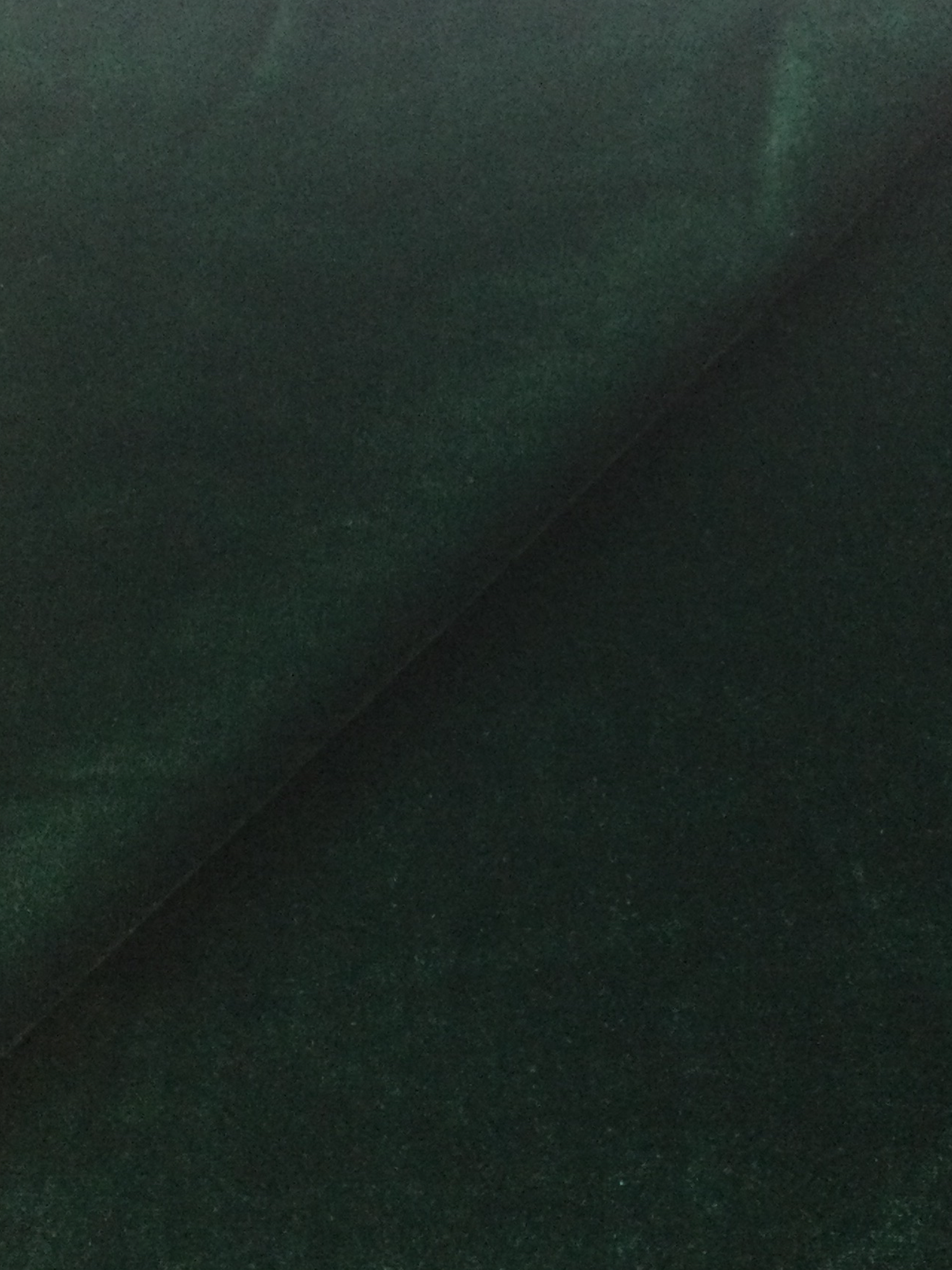 Scnp Silk and Rayon Velvet in Hunter