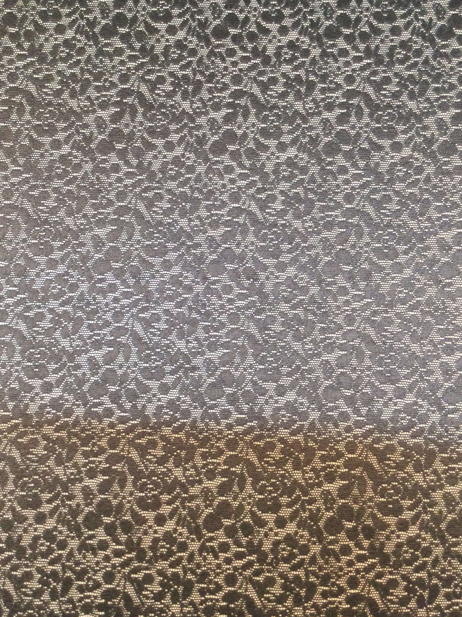 Novelty Nylon Stretch Lace in Black