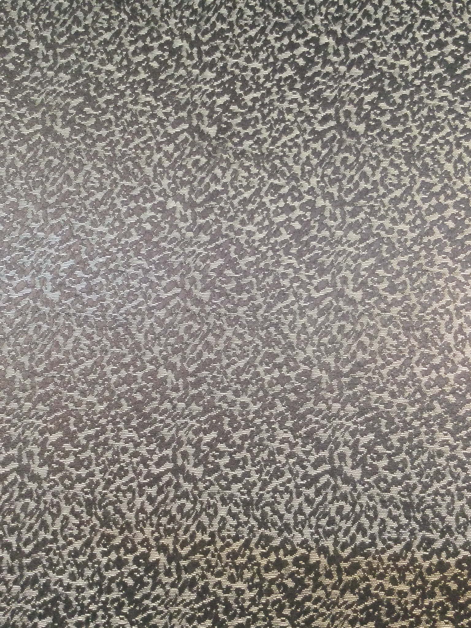 Novelty Nylon Stretch Lace in Black