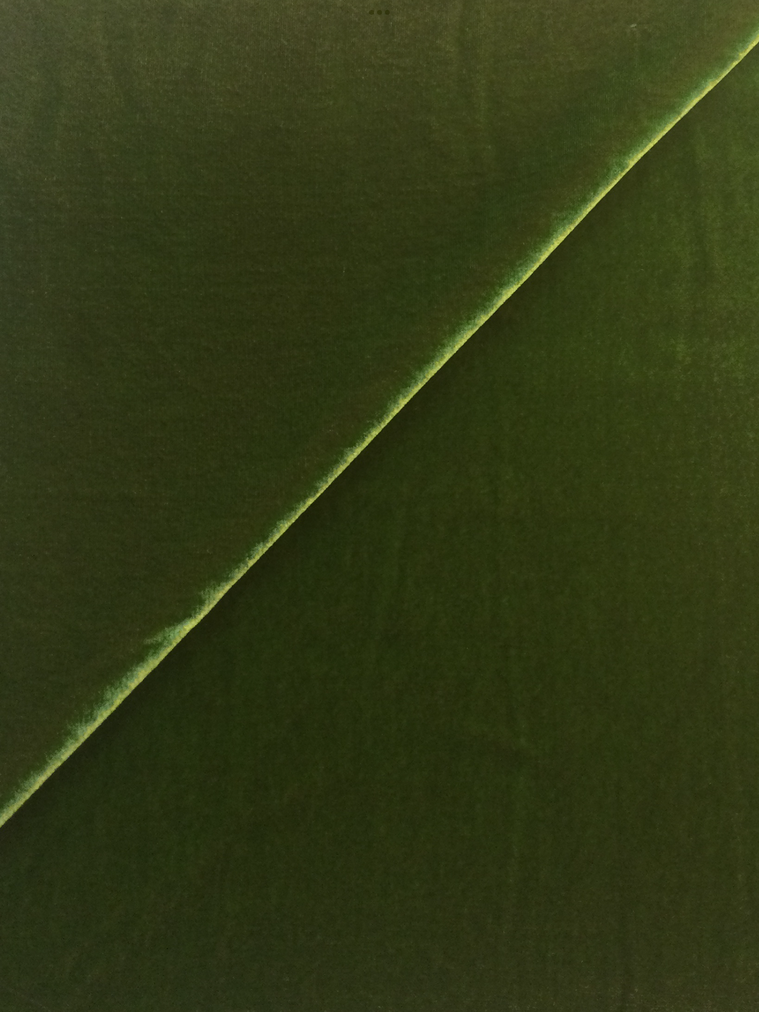 Luxury Silk-Rayon Velvet Candy Apple Green