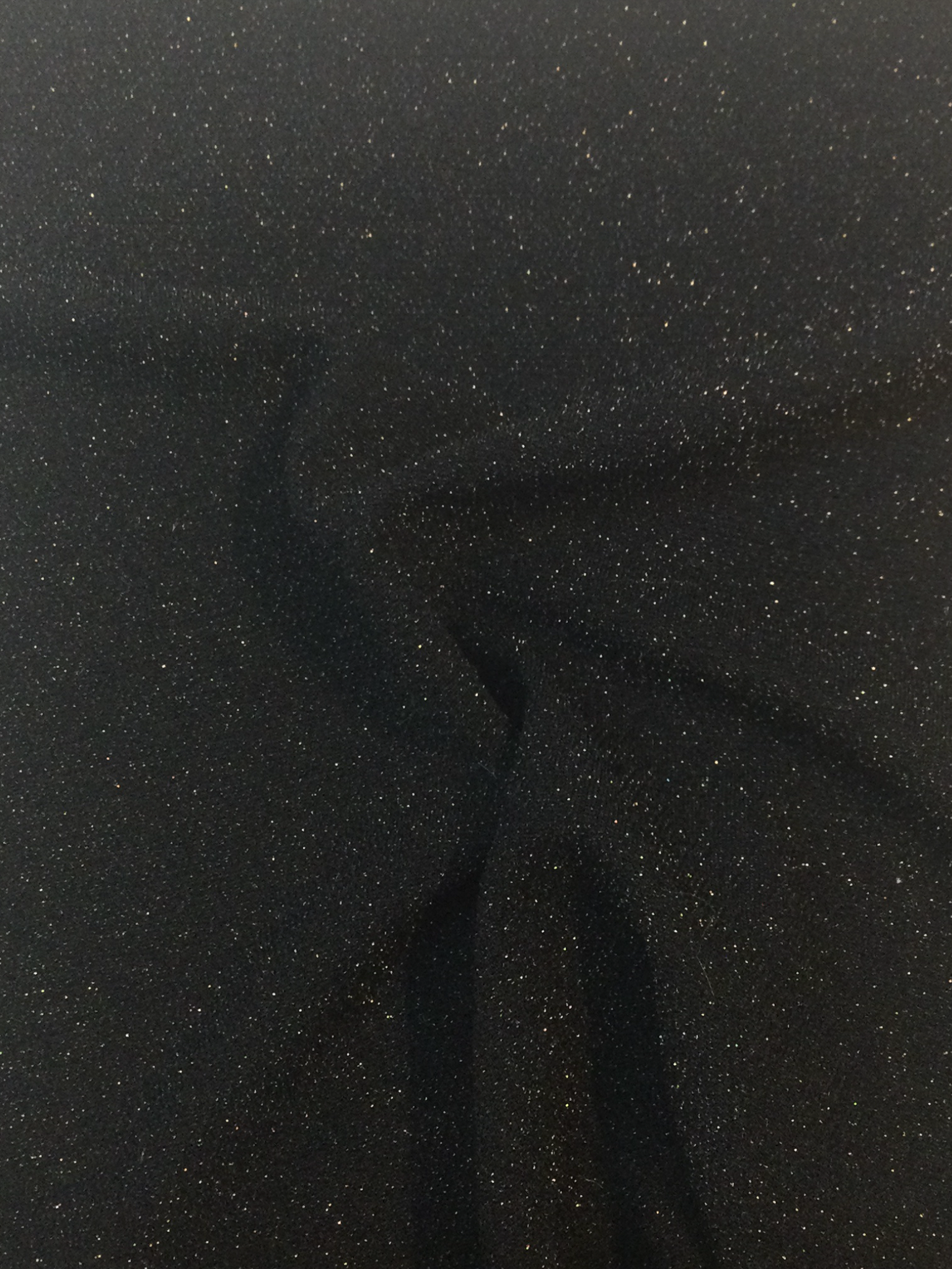 Nylon Blend Jersey Lame' in Black