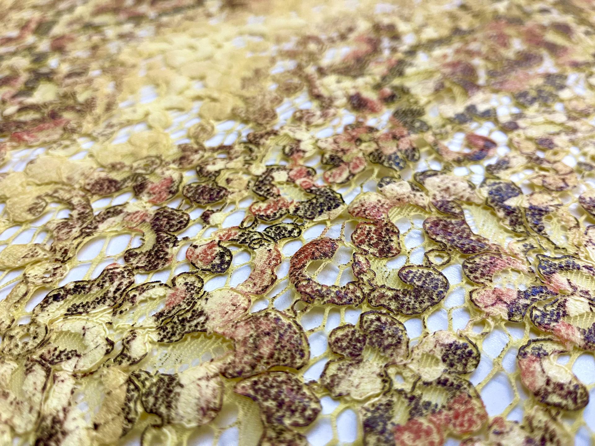 Made in France Printed/Coated Re-embroidered Lace of Calibrachoa Floral Pattern in Yellow, Orange and Brown Colors