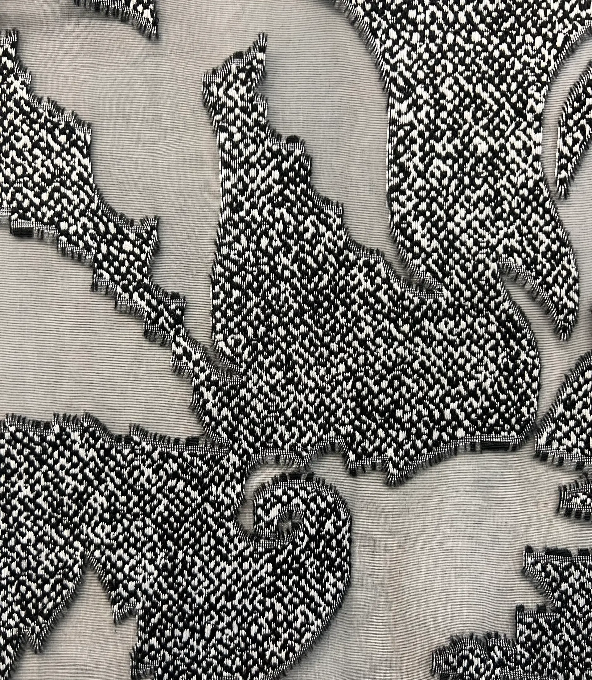 Silk & Polyester Fil Coupe Organza in Grey and Black