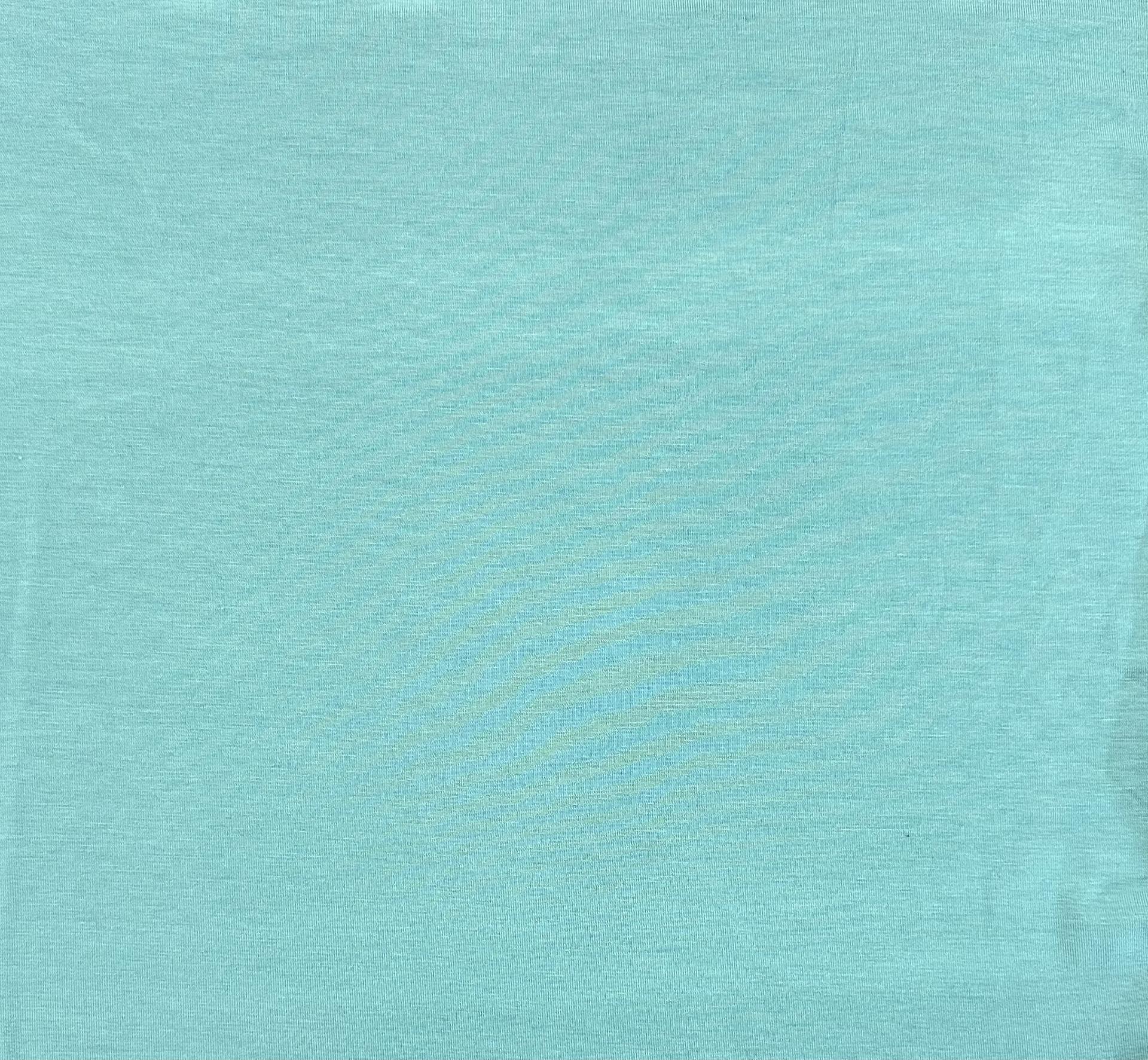 Sustainable Rayon Of Bamboo Spandex Jersey in Lt Aqua