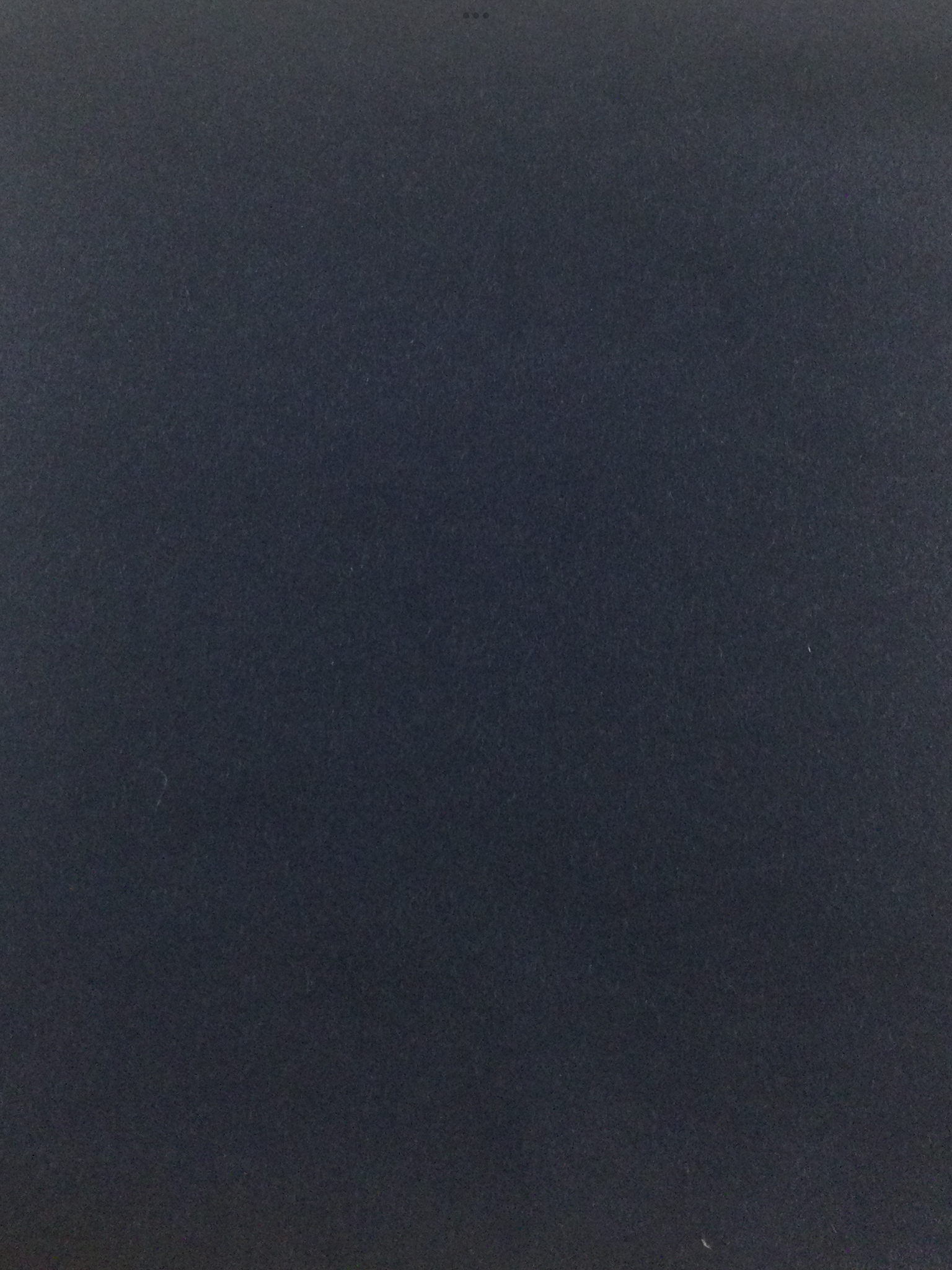 Made in Italy 100% Camelhair