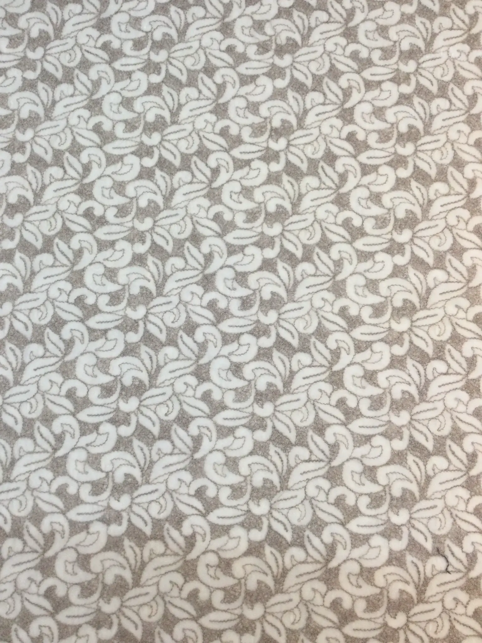 Embroidered Silk and Rayon Velvet with Leaves