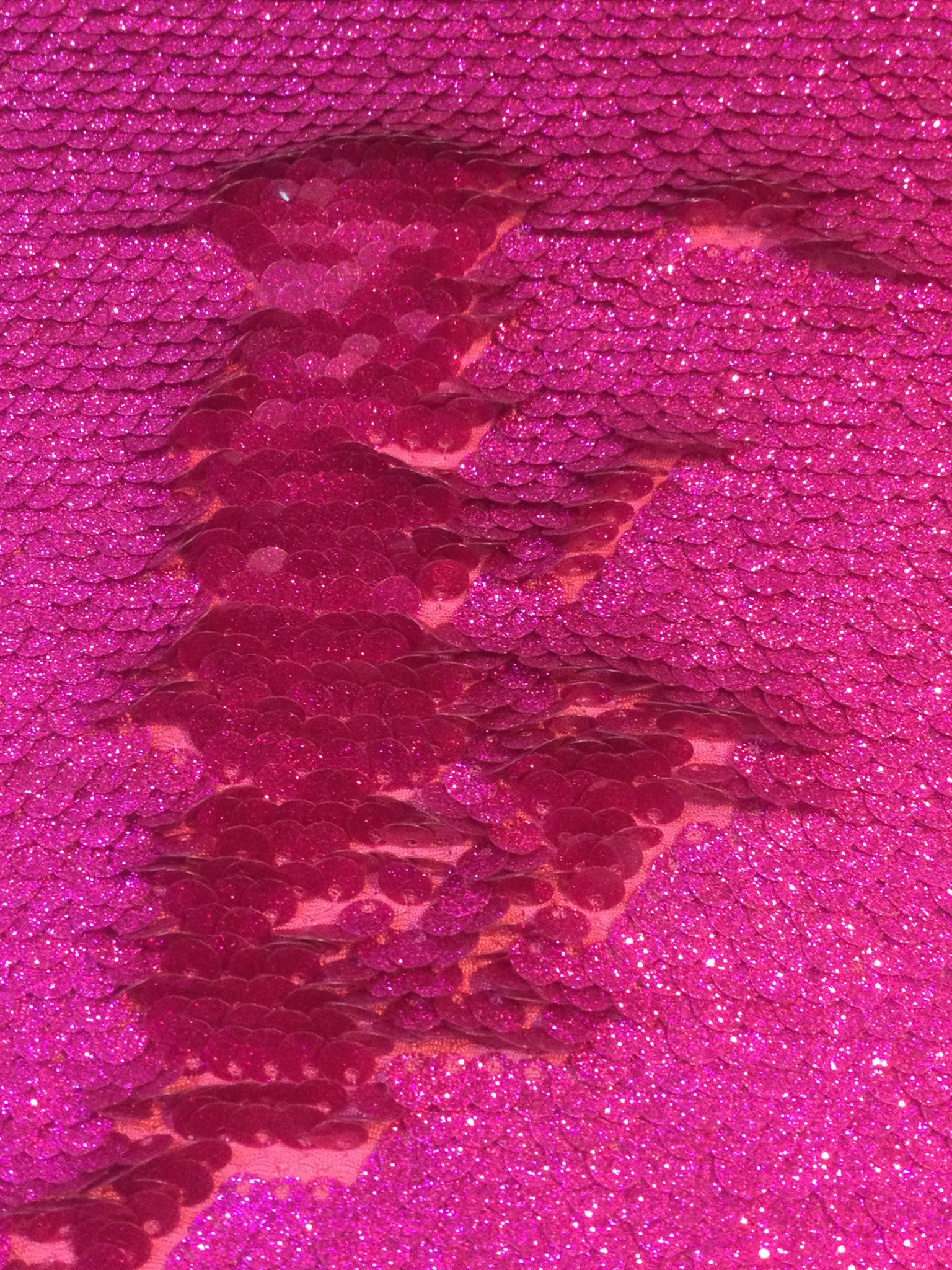 Hologram Fishscale Sequined Jersey in Fuchsia 