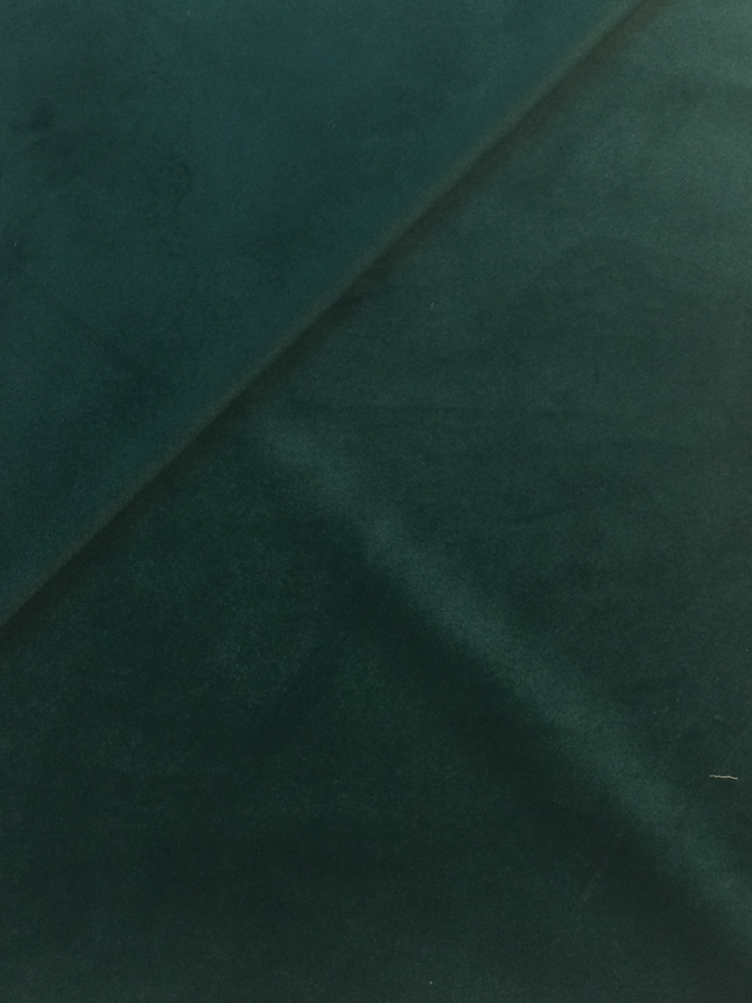 Polyester Velvet in Hunter