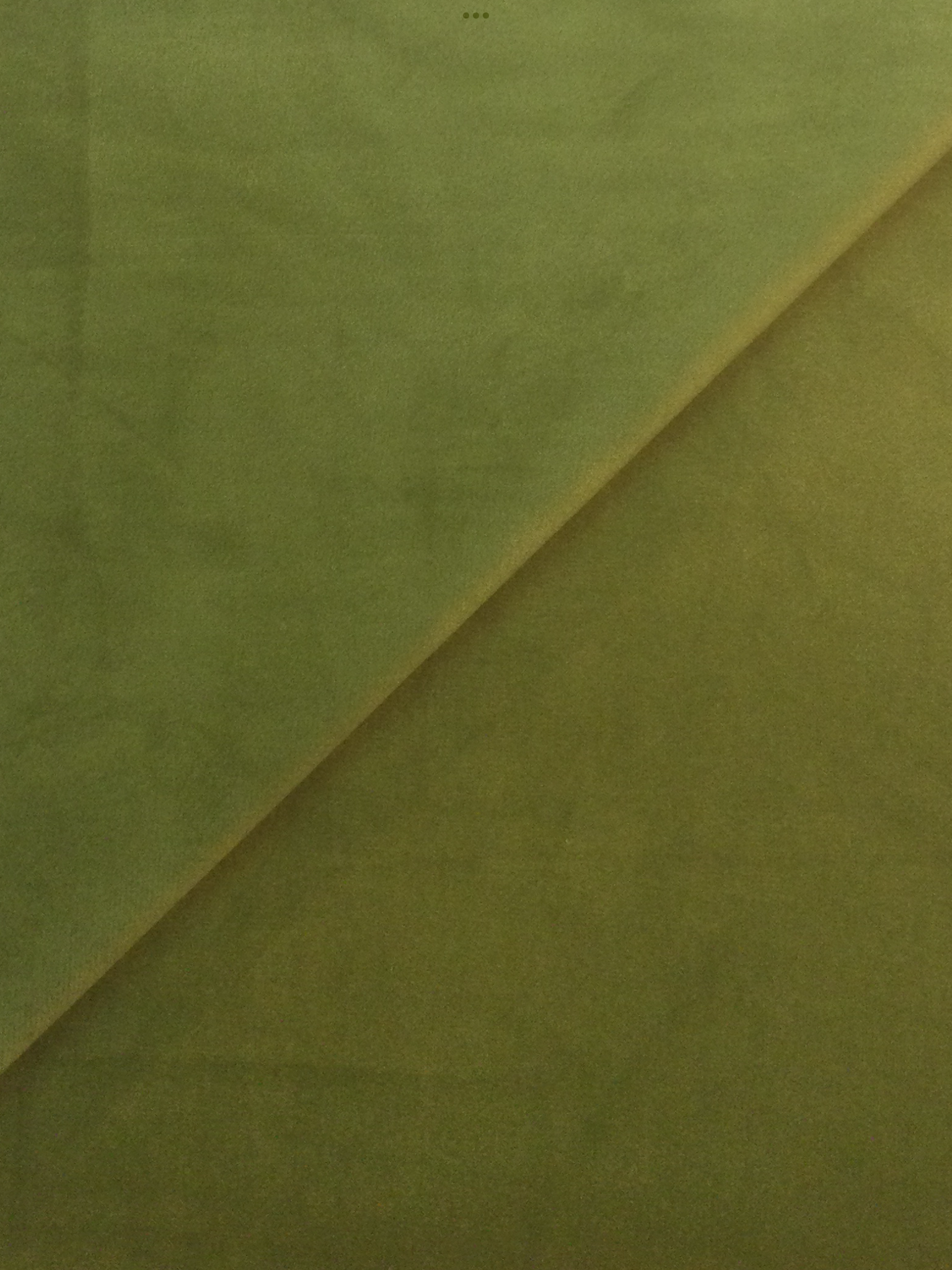 Polyester Velvet in Basil